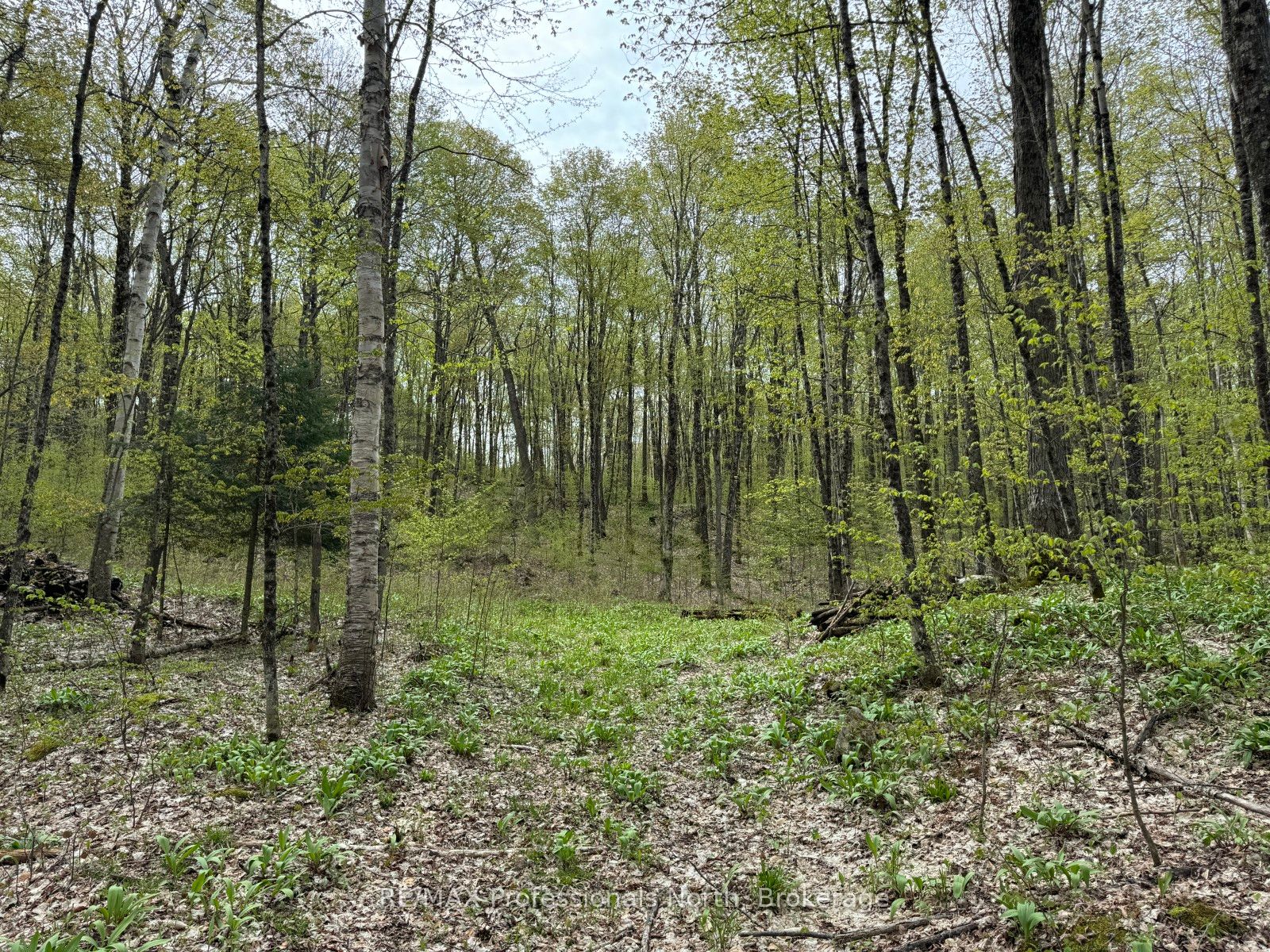 Lot 166 Glen Lake Court Property Photo 13