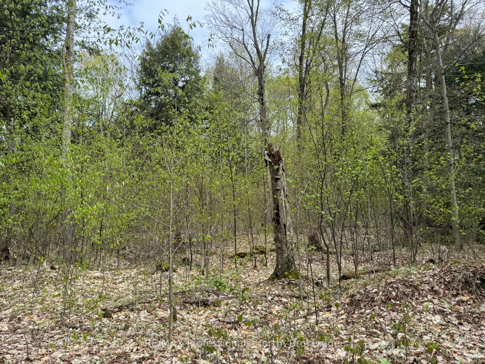 Lot 166 Glen Lake Court Property Photo 16