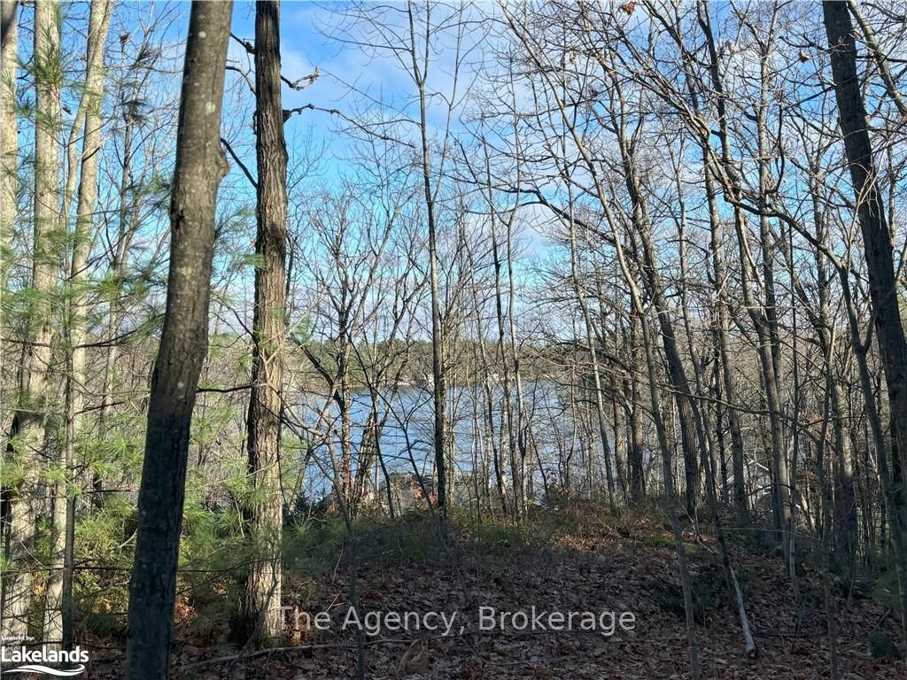 1766 Muskoka Road 169 Road Property Photo 2