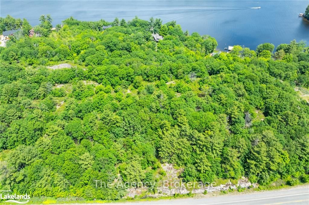 1766 Muskoka Road 169 Road Property Photo 9