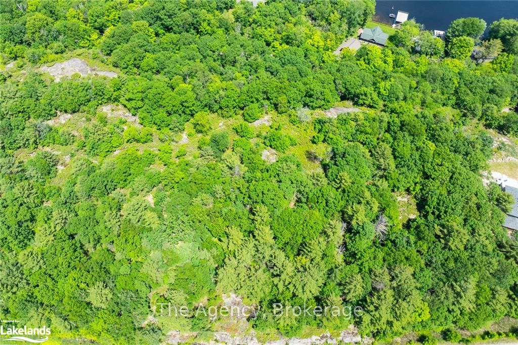 1766 Muskoka Road 169 Road Property Photo 10