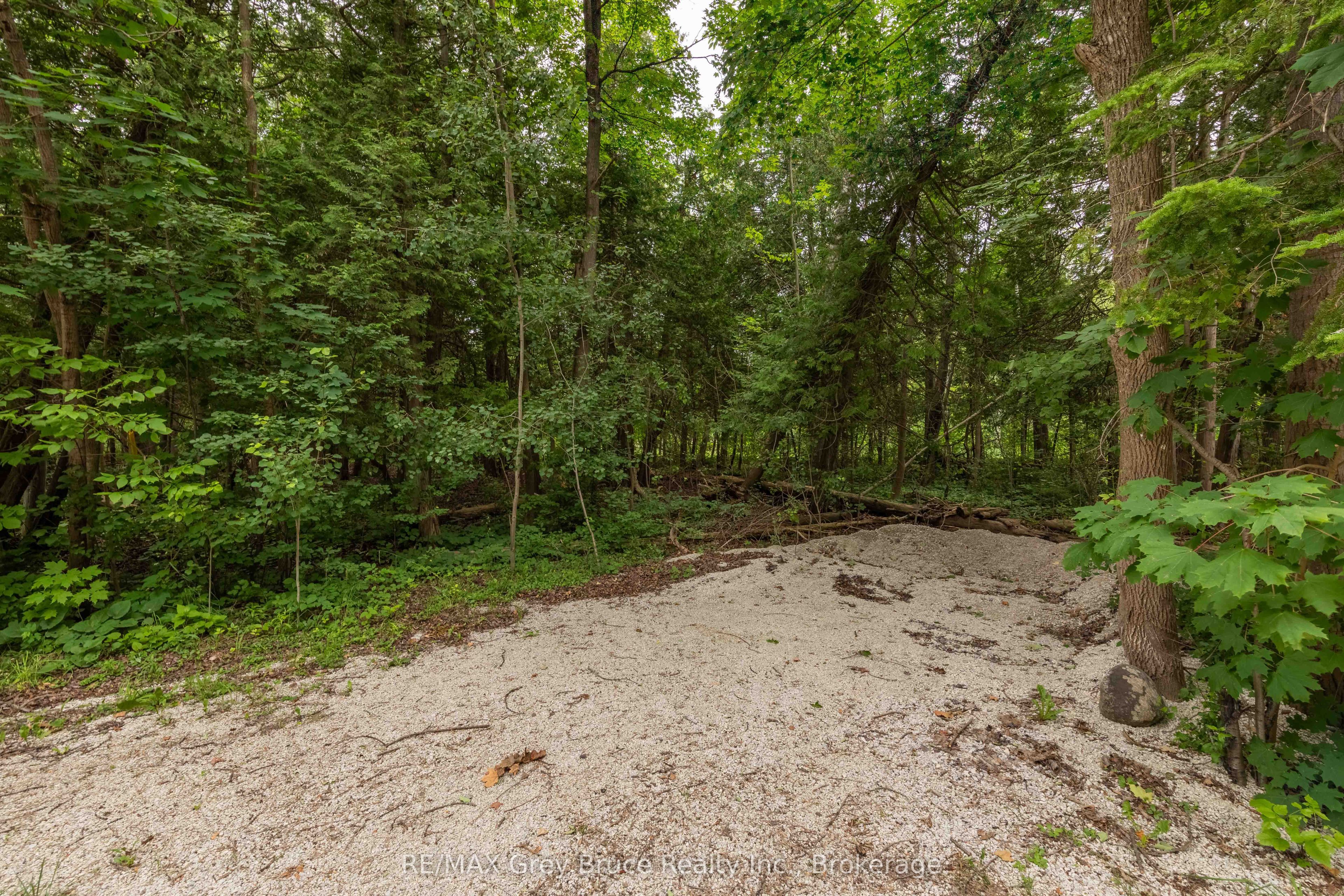 0 Cedar Avenue Property Photo 3