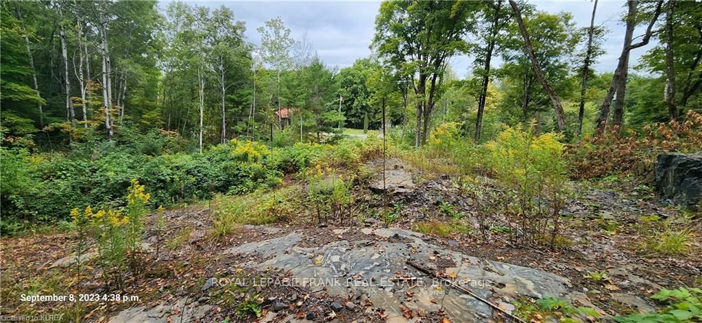 169 Northern Avenue Property Photo 2