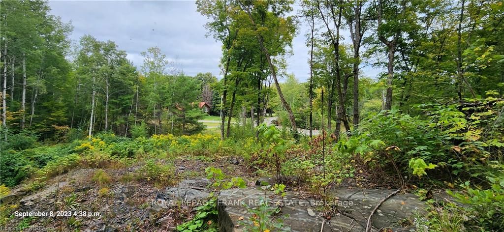169 Northern Avenue Property Photo 3