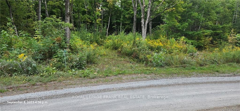 169 Northern Avenue Property Photo 5