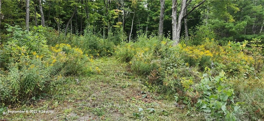169 Northern Avenue Property Photo 6