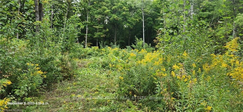 169 Northern Avenue Property Photo 8