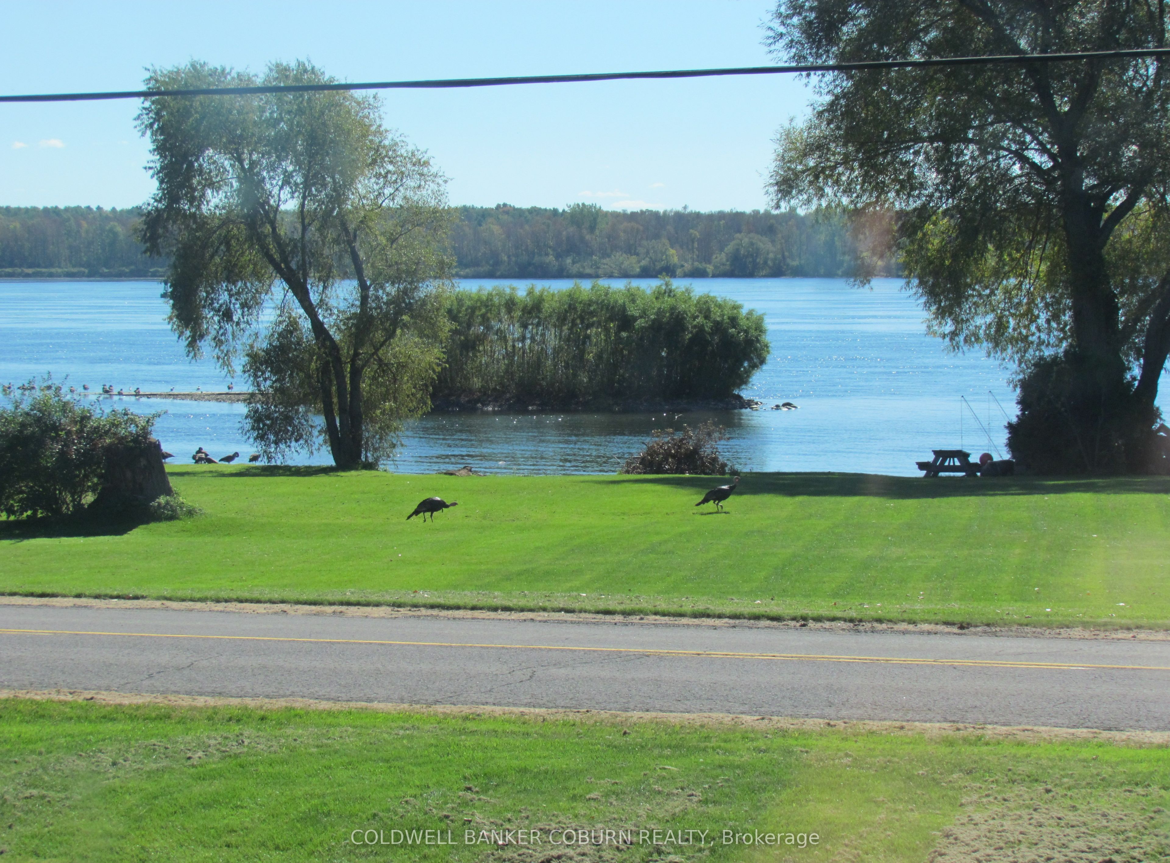 11391 Lakeshore Drive Property Photo 35