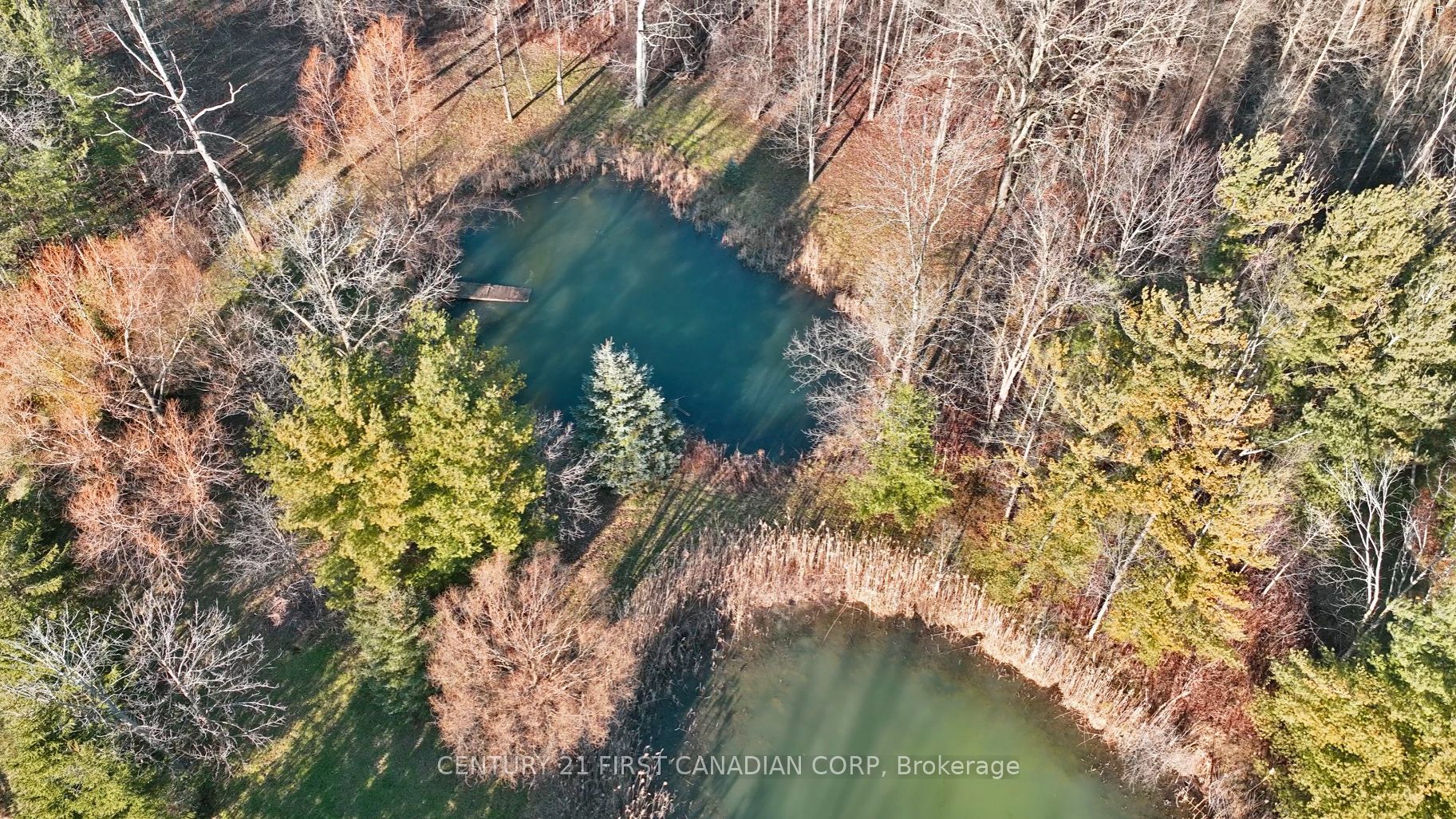 29709 Celtic Line Property Photo 1