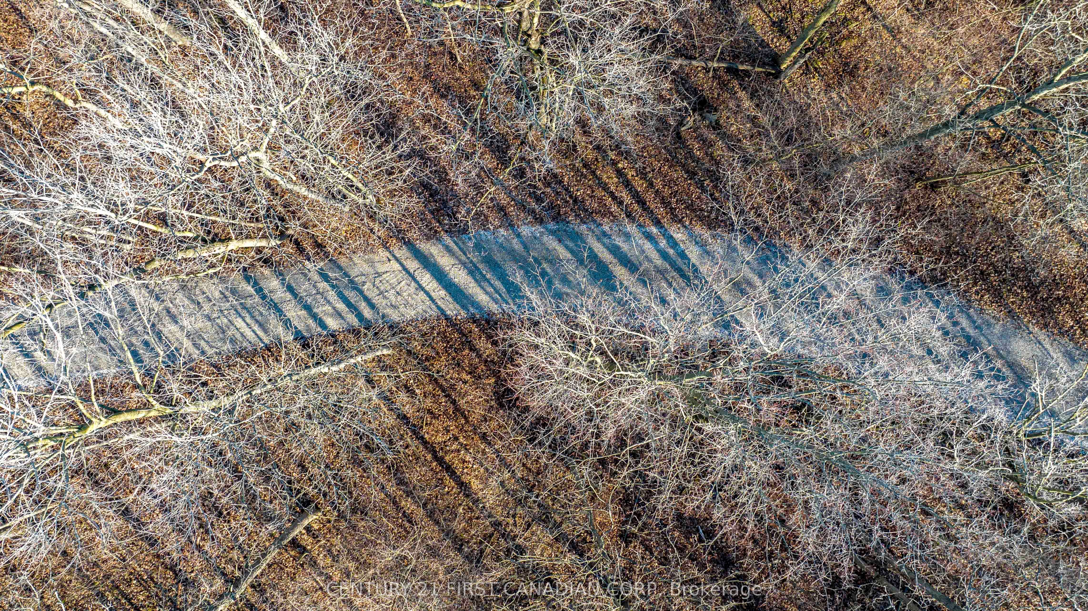 29709 Celtic Line Property Photo 2