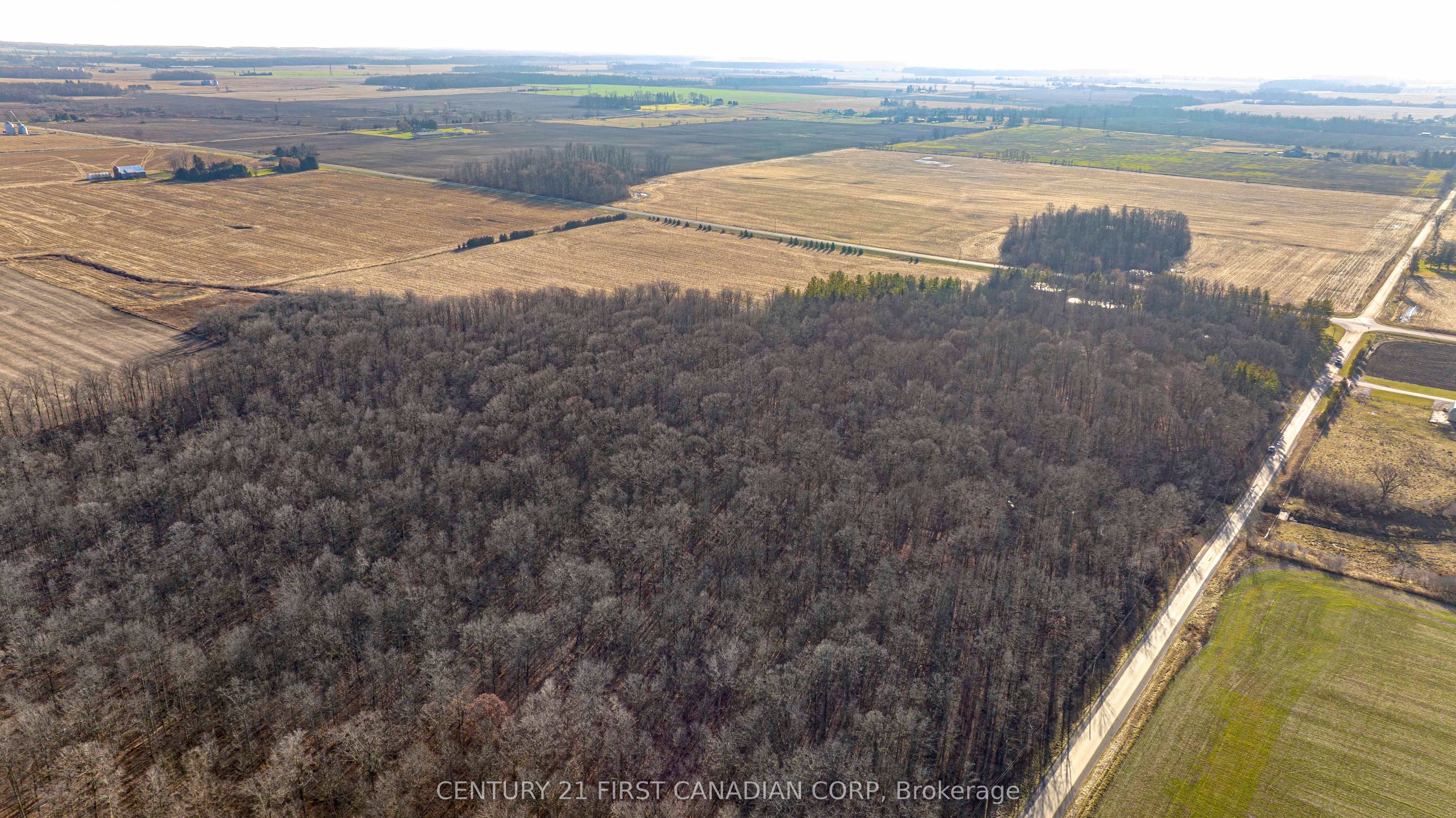 29709 Celtic Line Property Photo 4