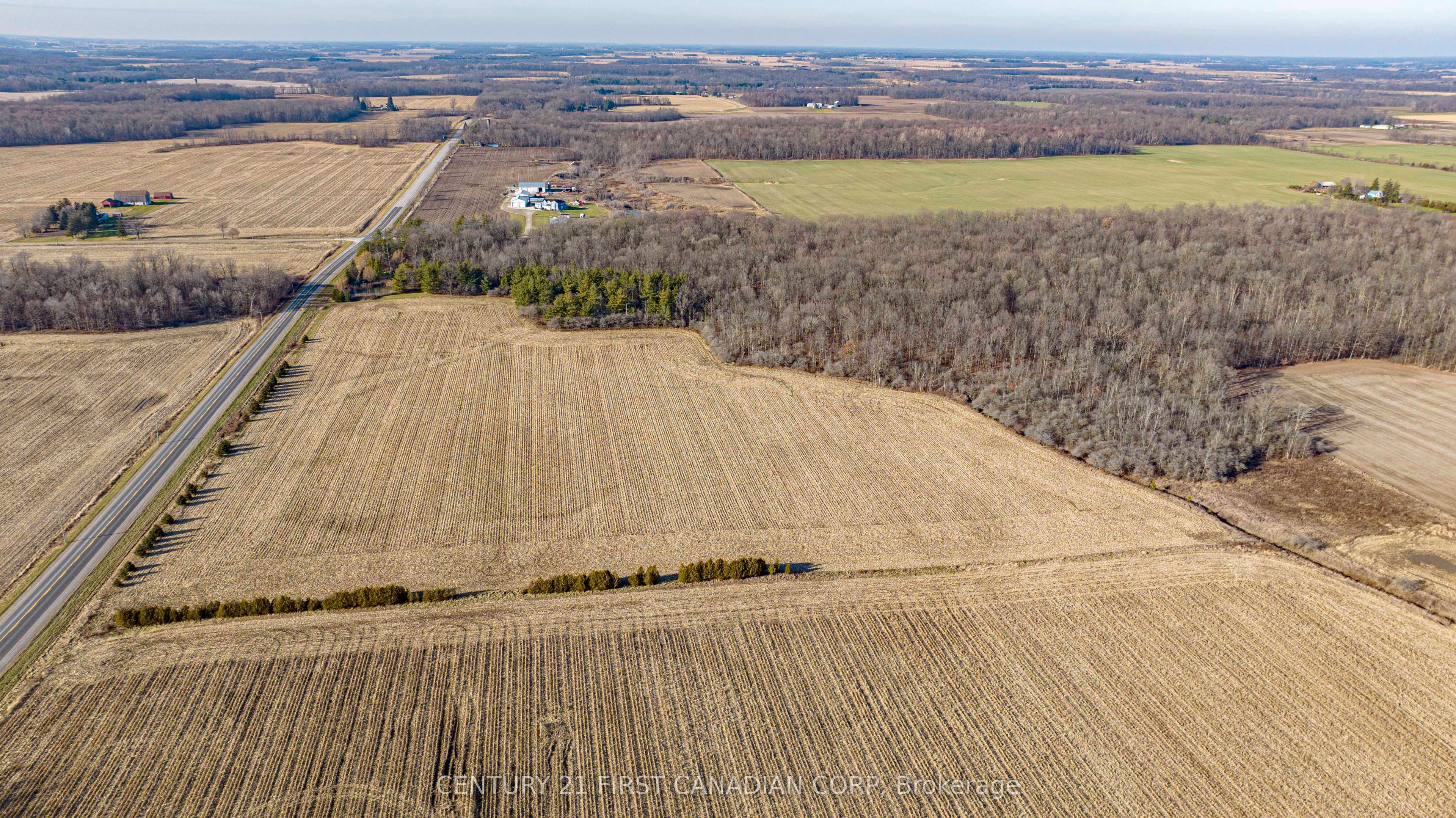 29709 Celtic Line Property Photo 5
