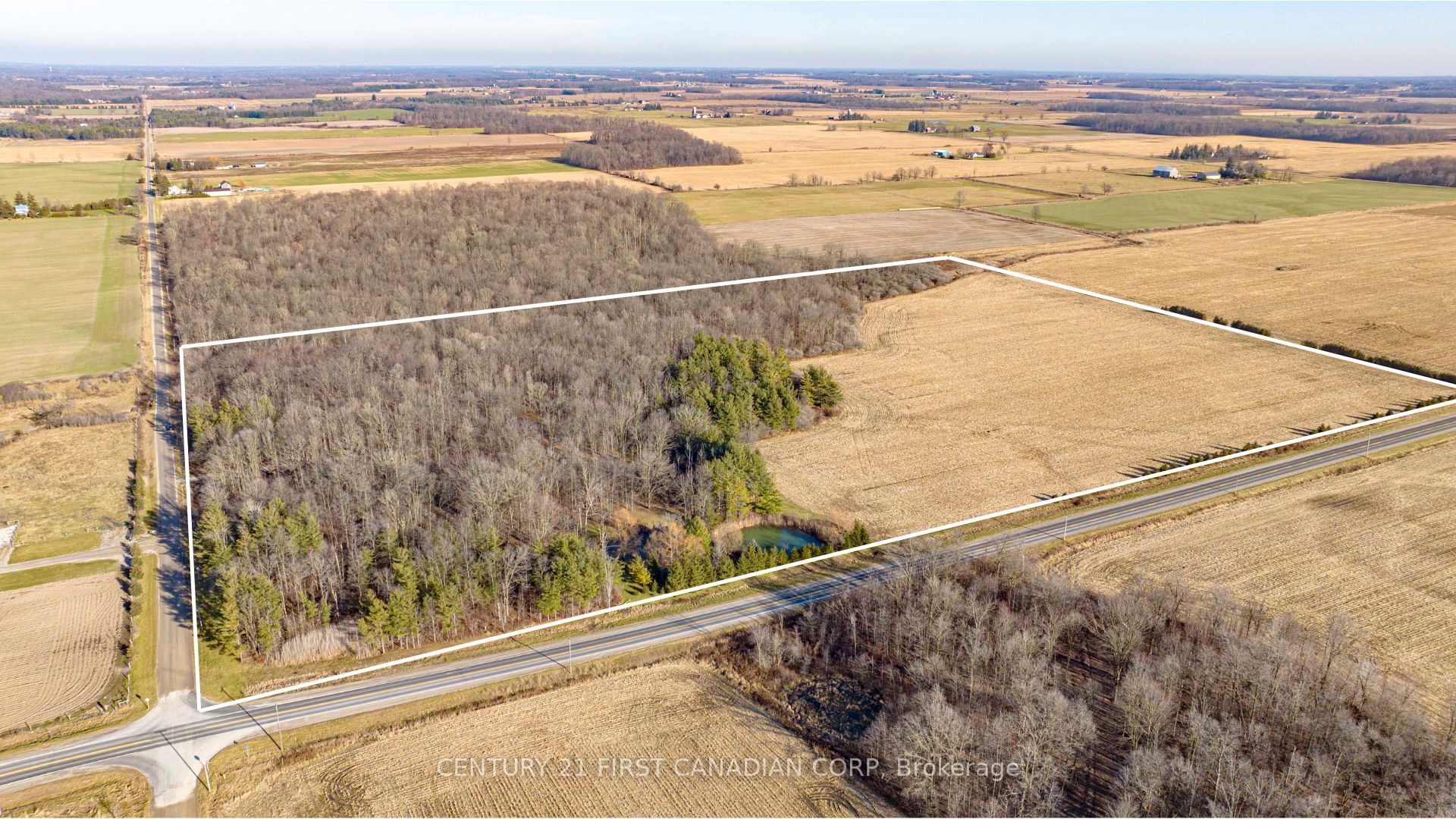 29709 Celtic Line Property Photo 8