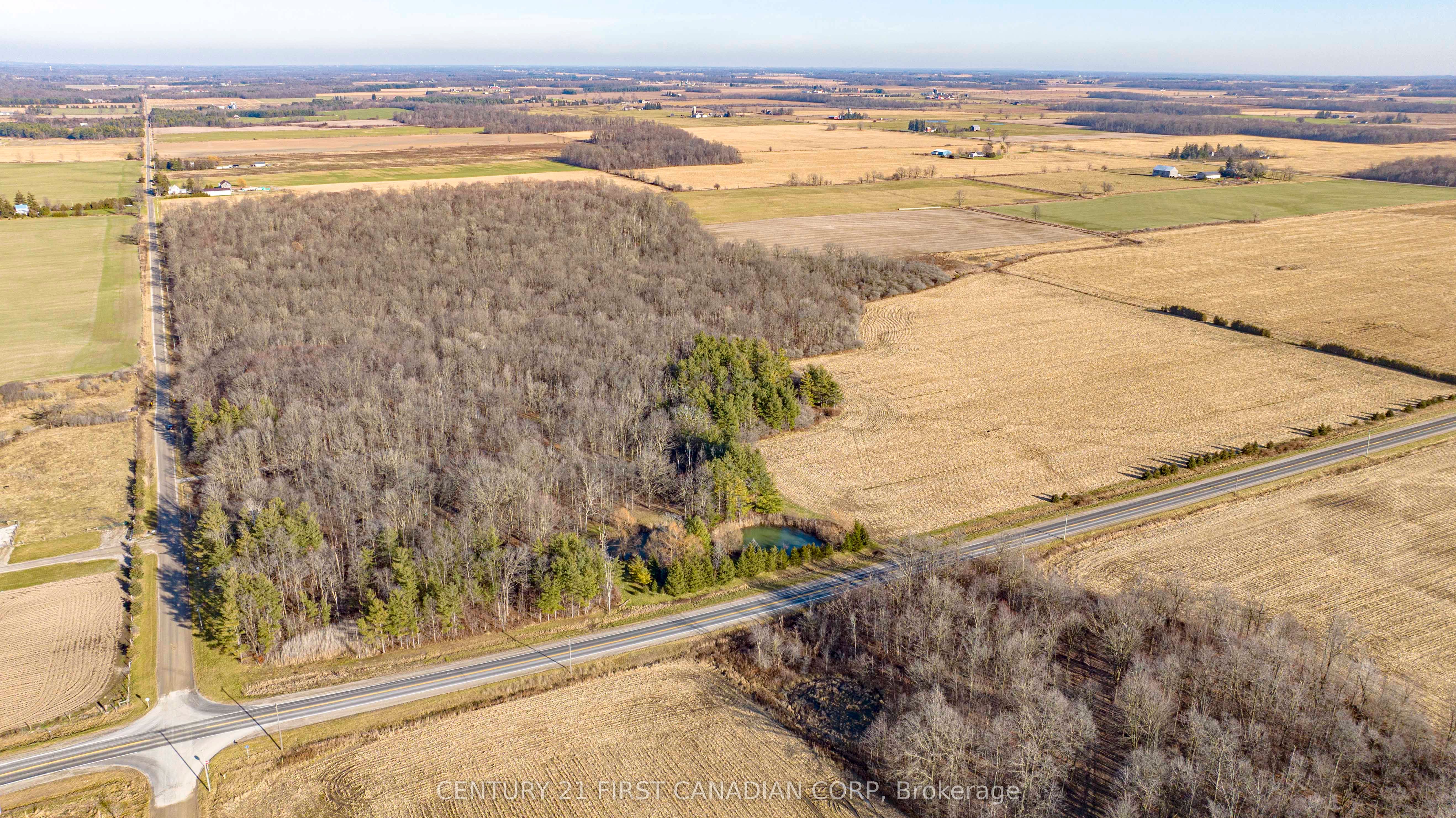 29709 Celtic Line Property Photo 9