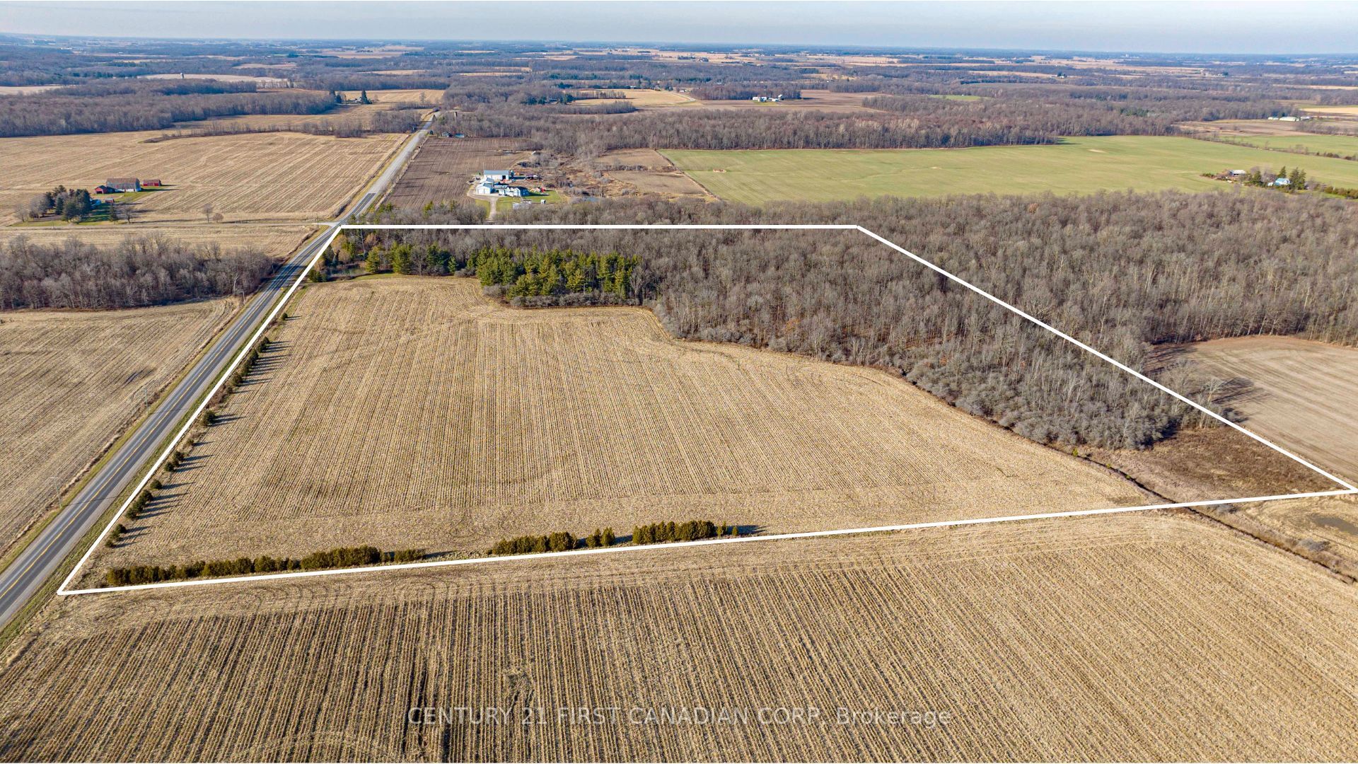 29709 Celtic Line Property Photo 10