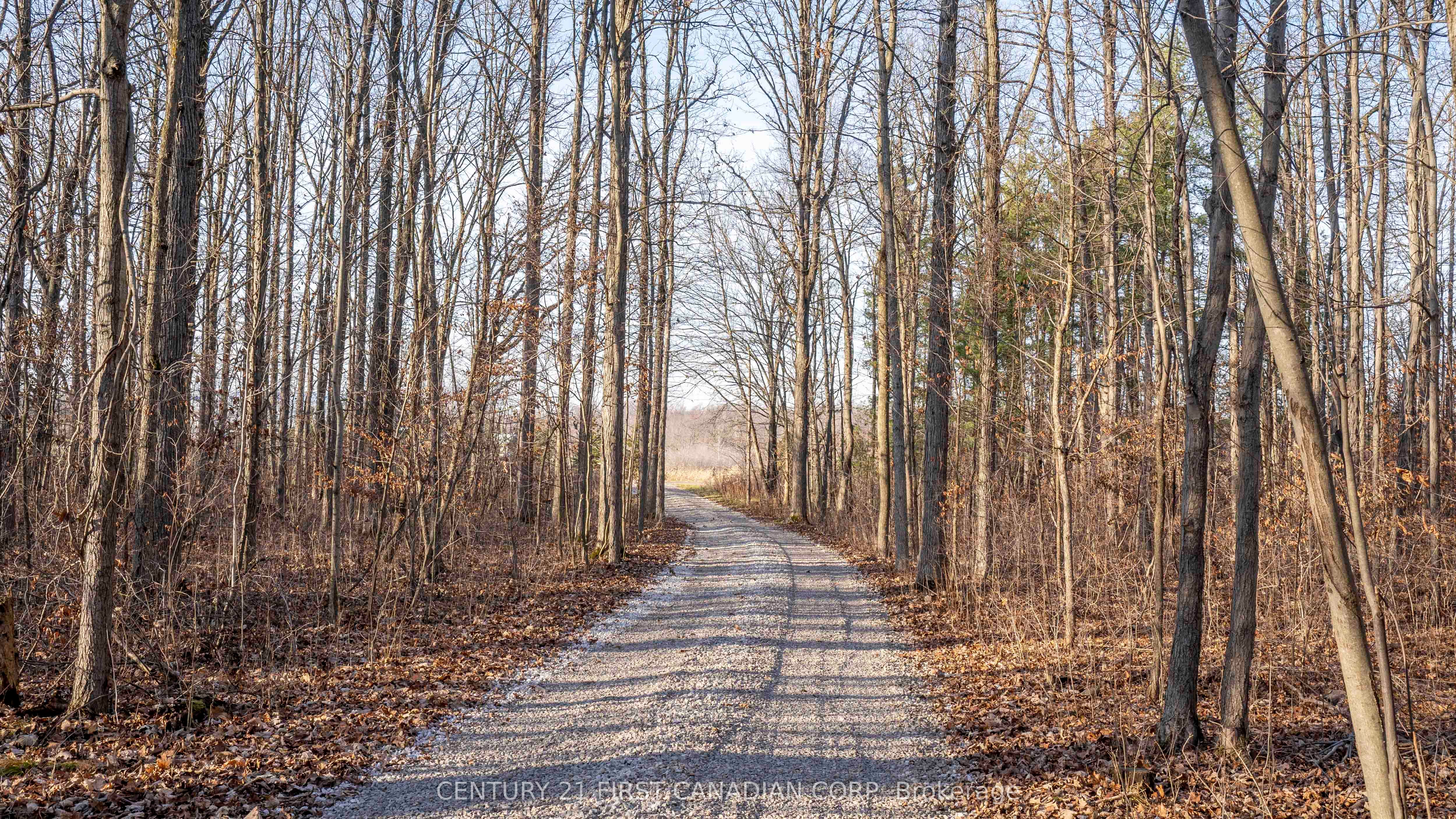 29709 Celtic Line Property Photo 12