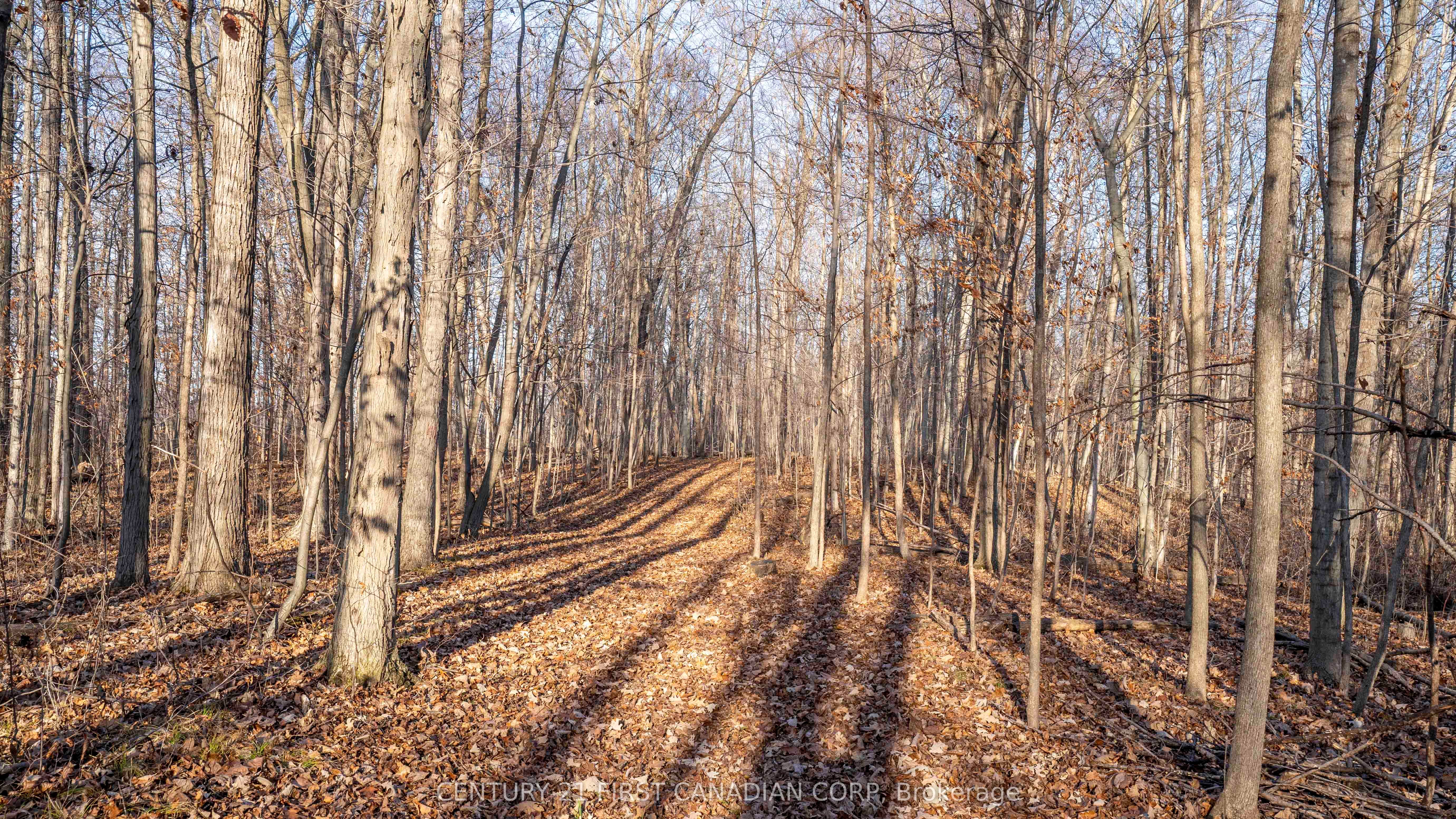 29709 Celtic Line Property Photo 13