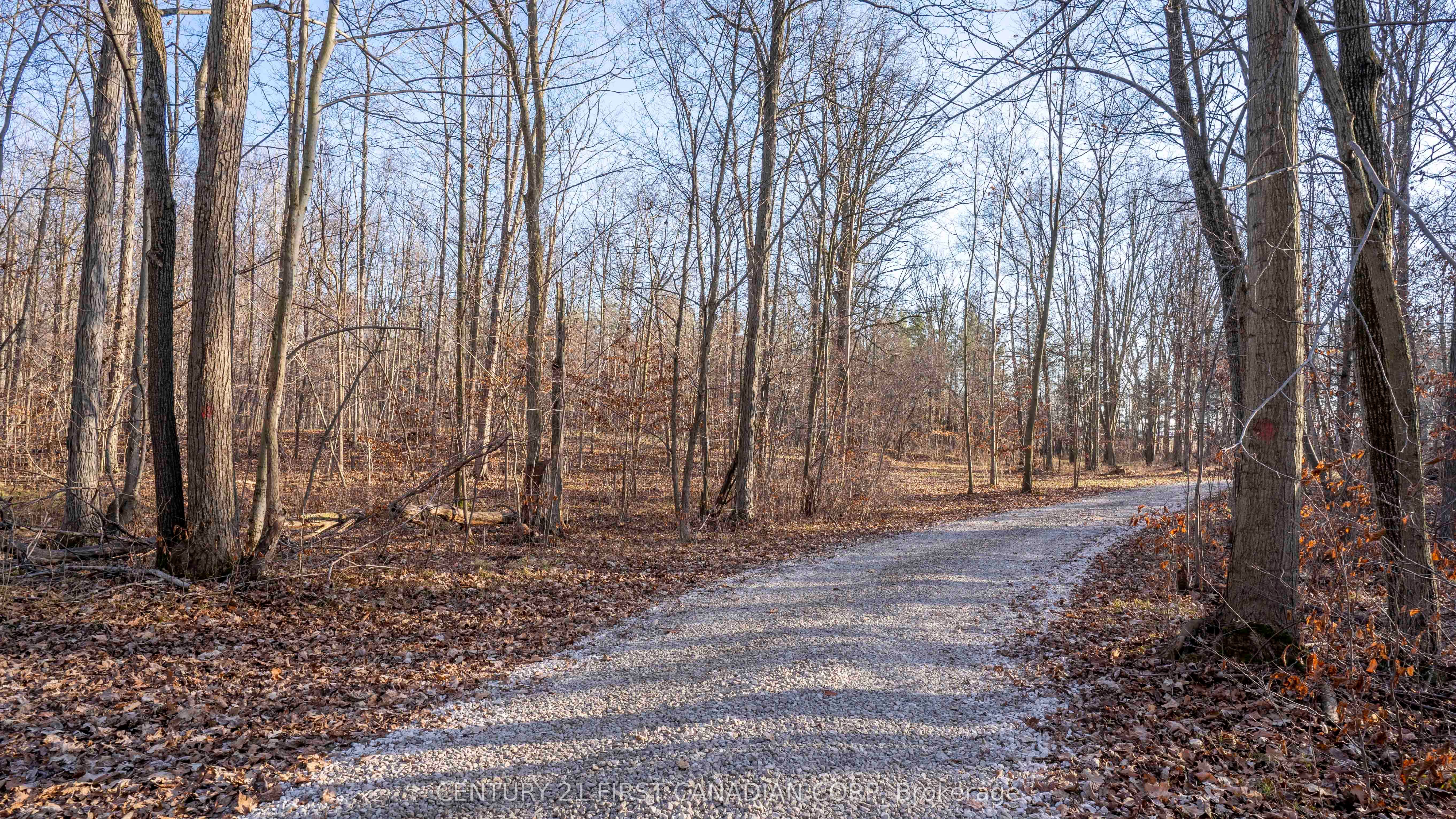 29709 Celtic Line Property Photo 14