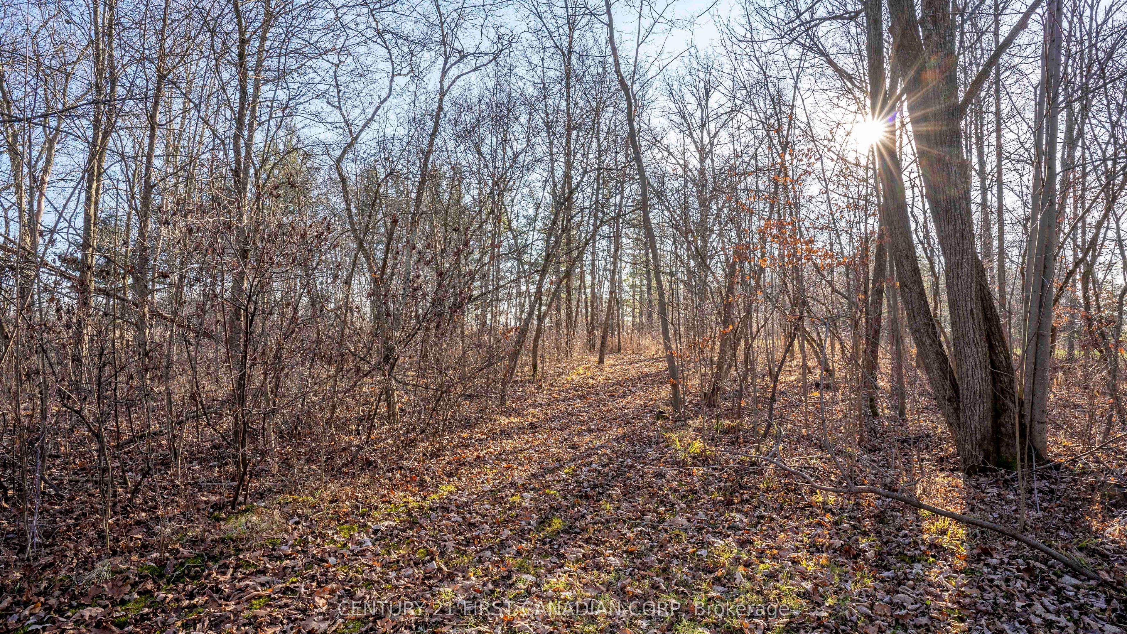 29709 Celtic Line Property Photo 17