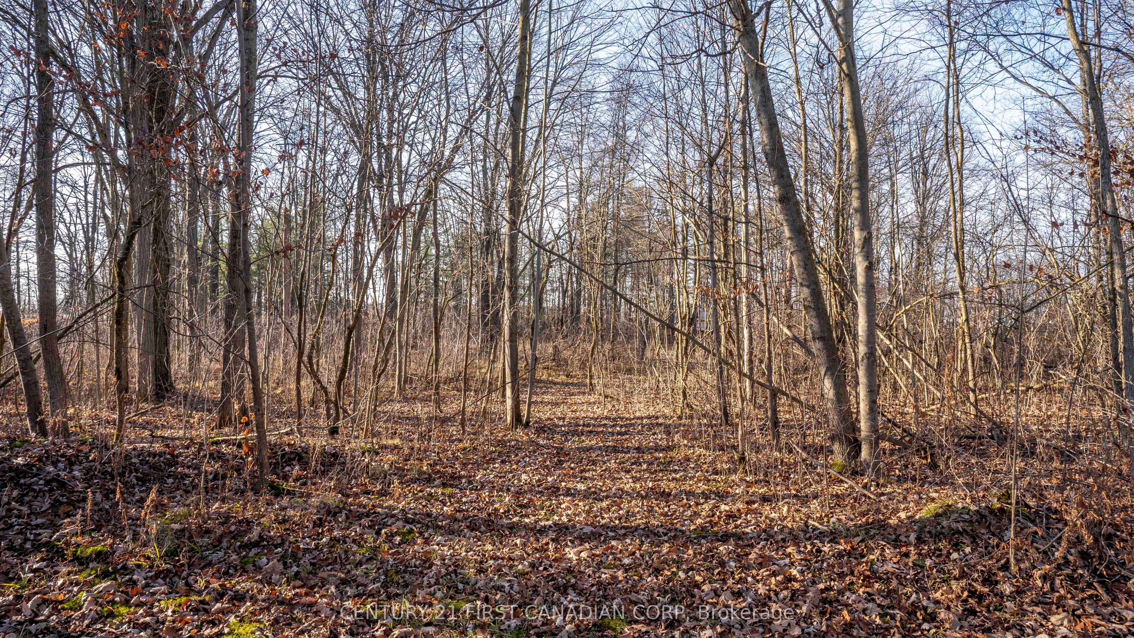 29709 Celtic Line Property Photo 18