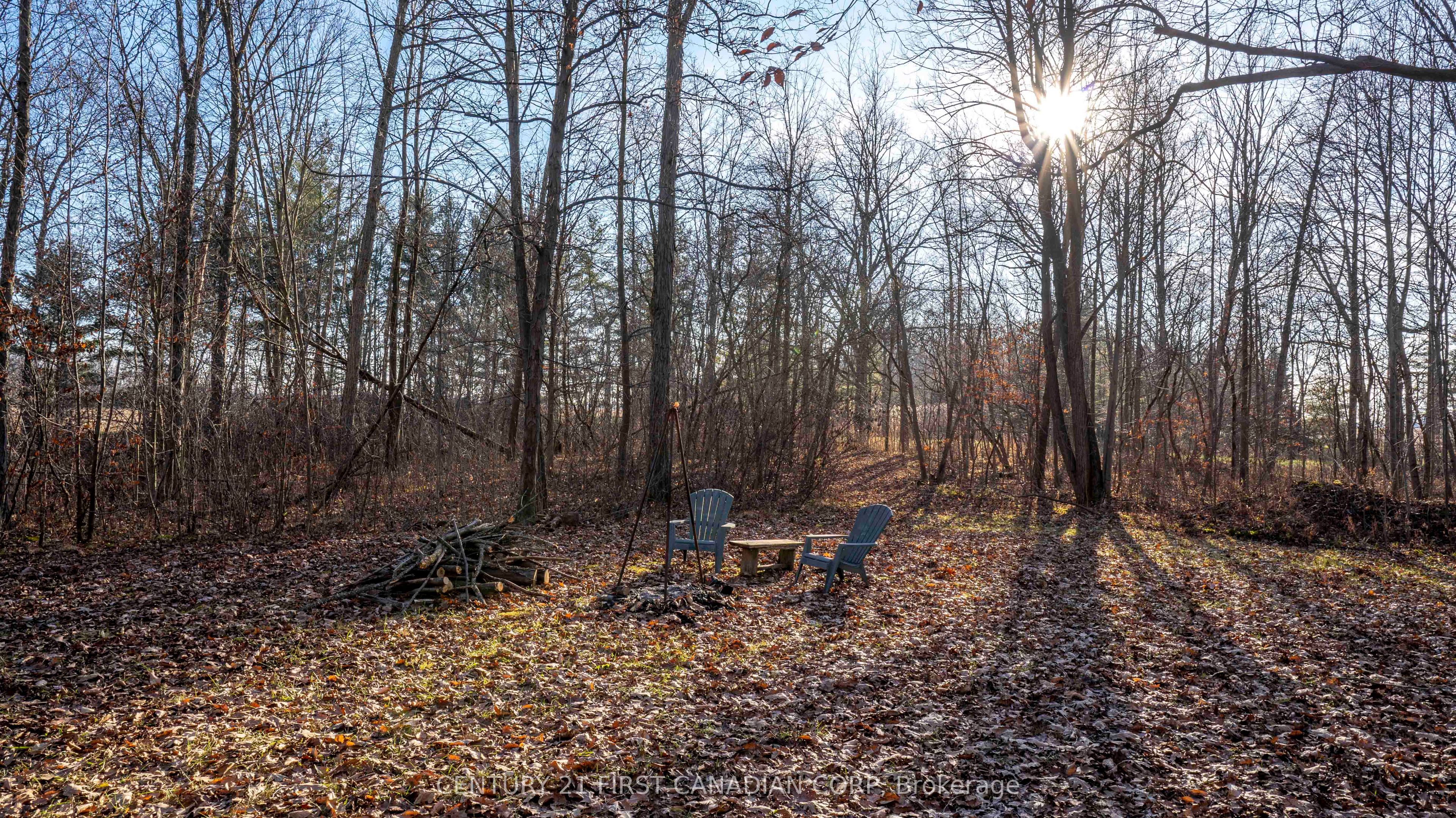 29709 Celtic Line Property Photo 19