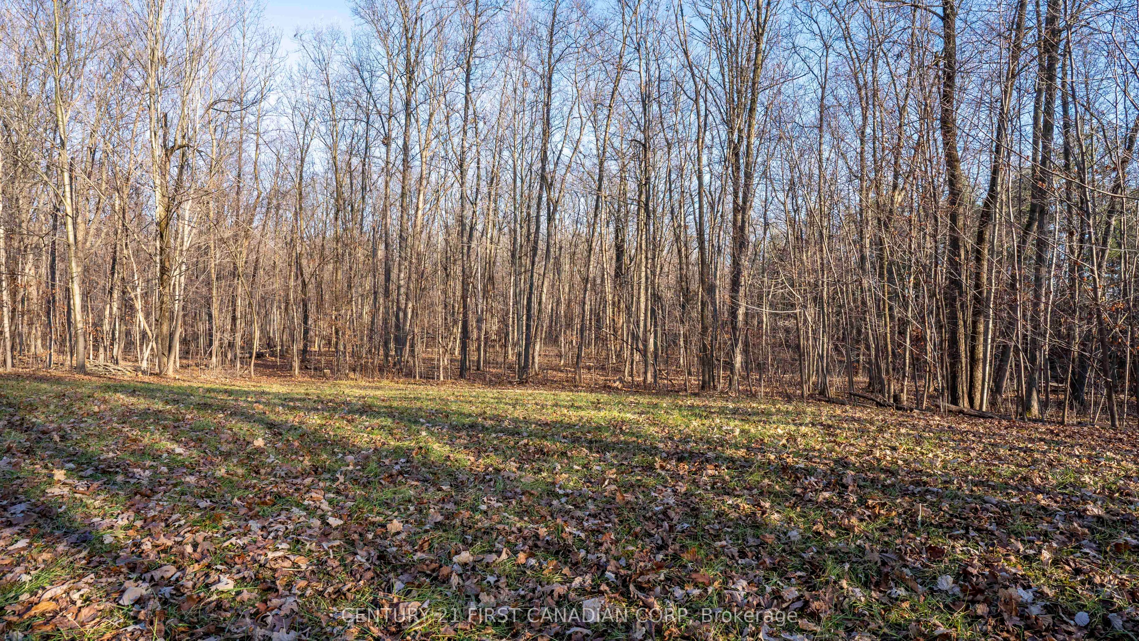 29709 Celtic Line Property Photo 21