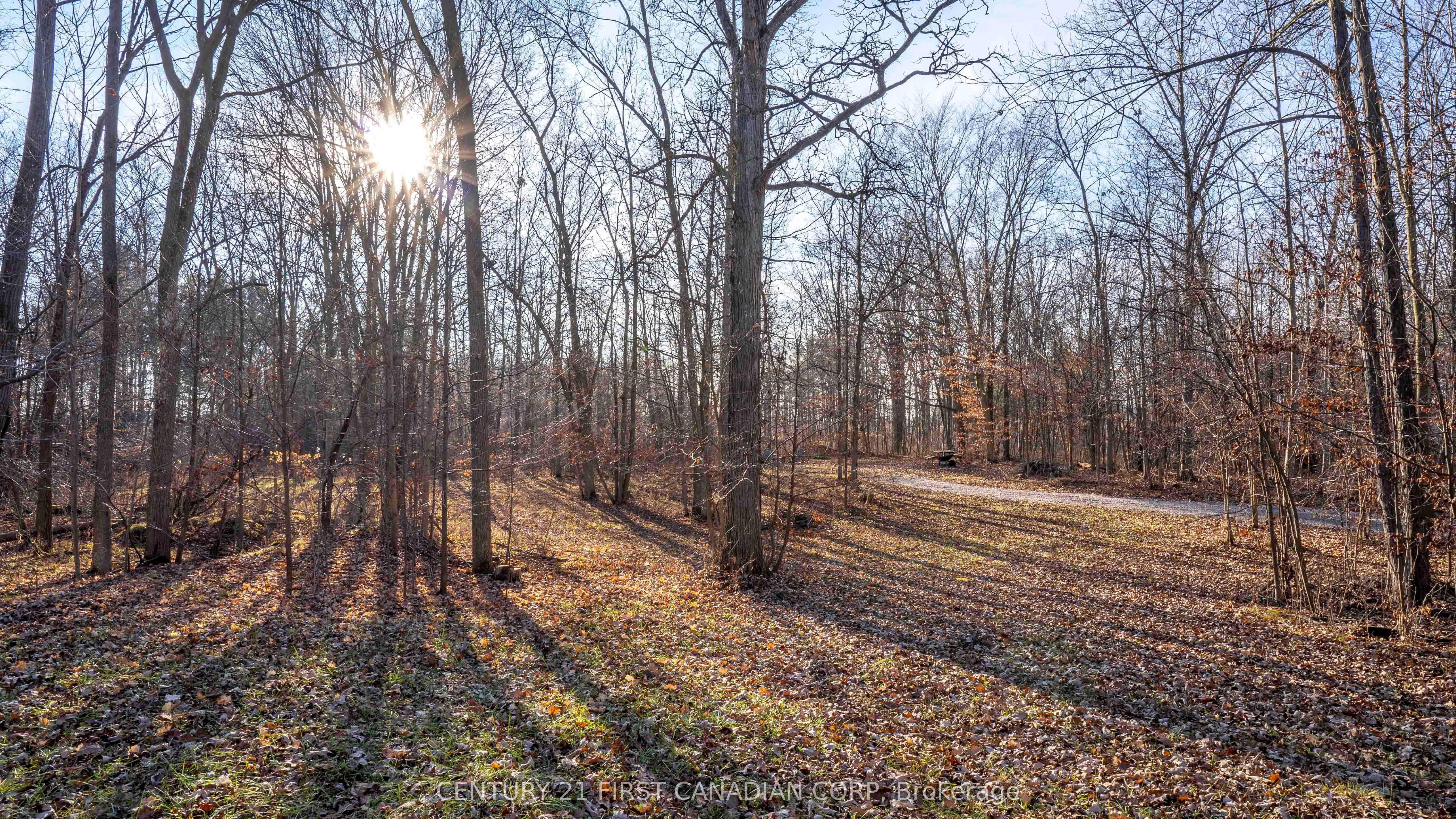 29709 Celtic Line Property Photo 22