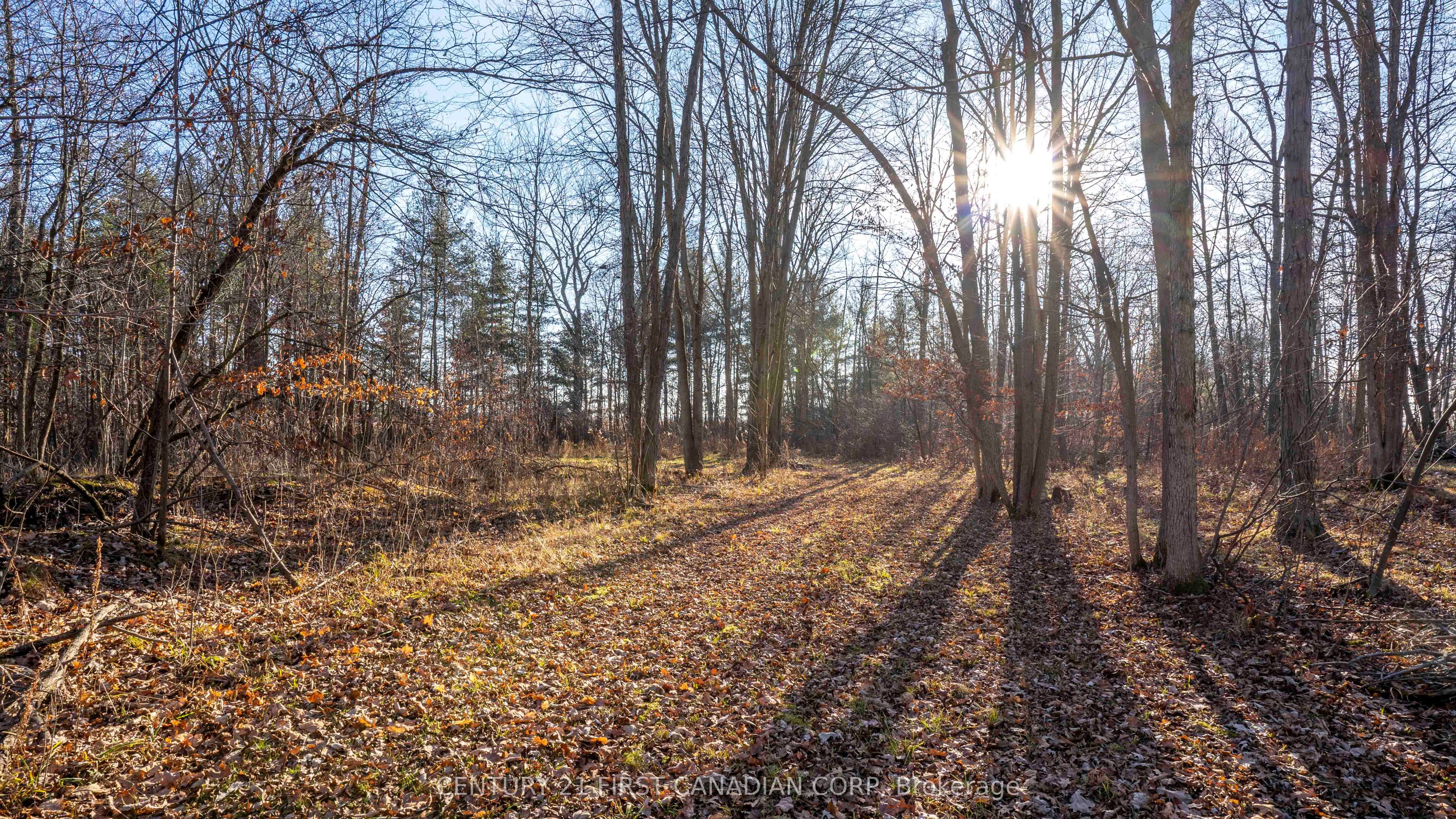 29709 Celtic Line Property Photo 23