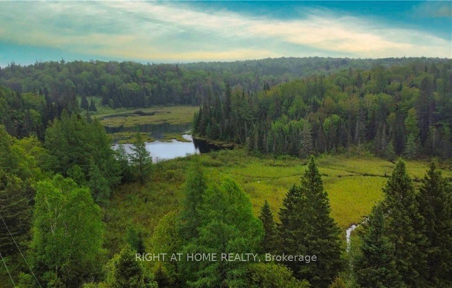 2087 Machar Strong Boundry Road Property Photo 3