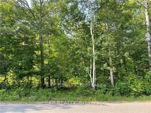 Lot C Parcher Road Property Photo