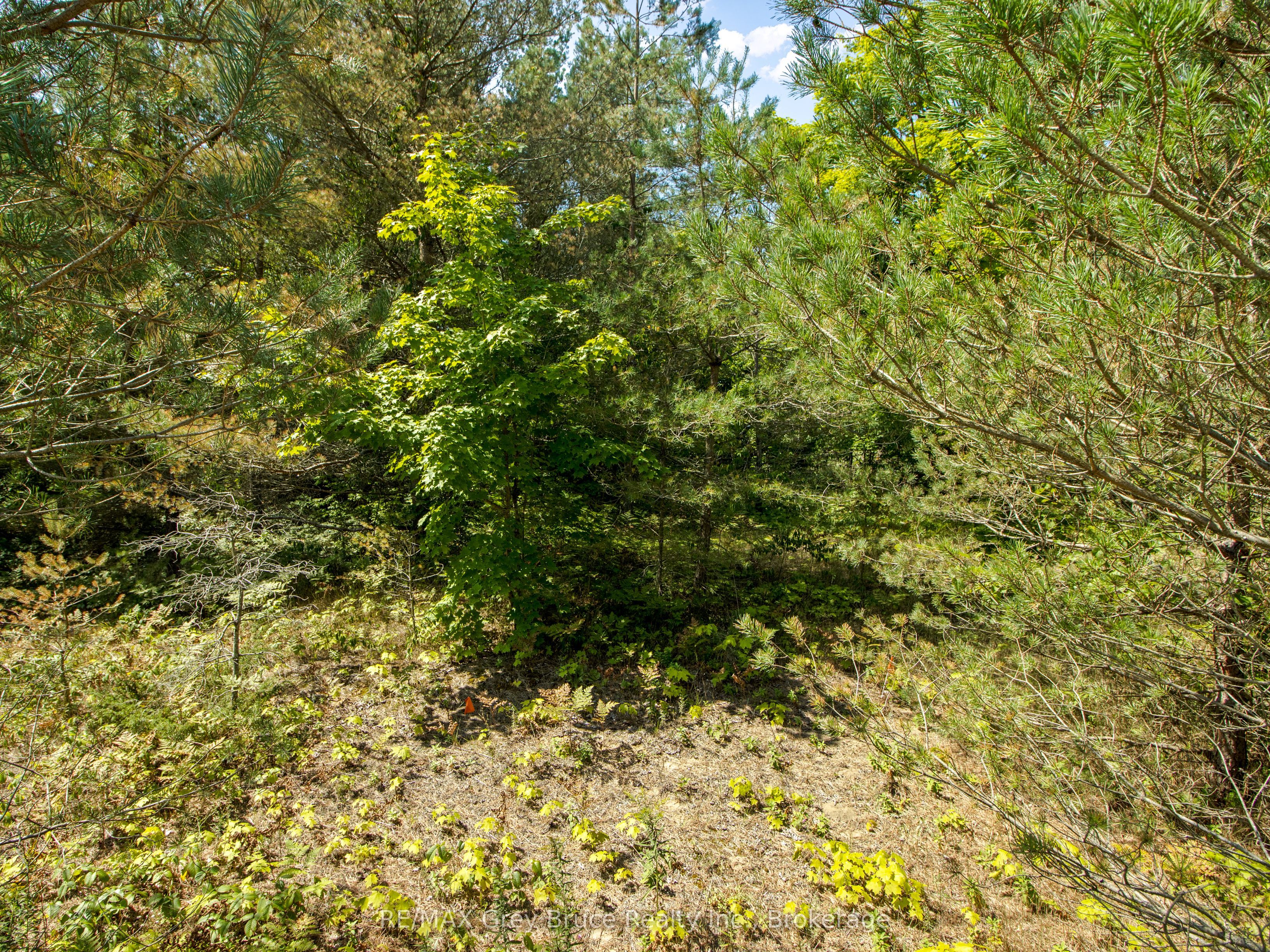 9 Campbell Crescent Property Photo 4