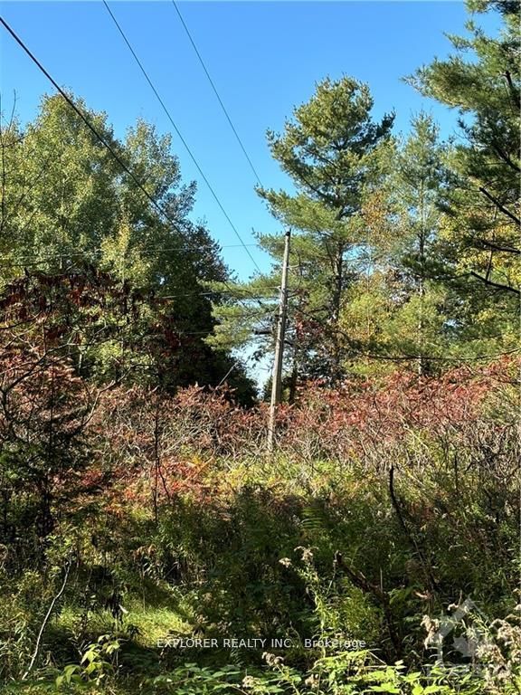 1077 Muller Point Lane Property Photo 11