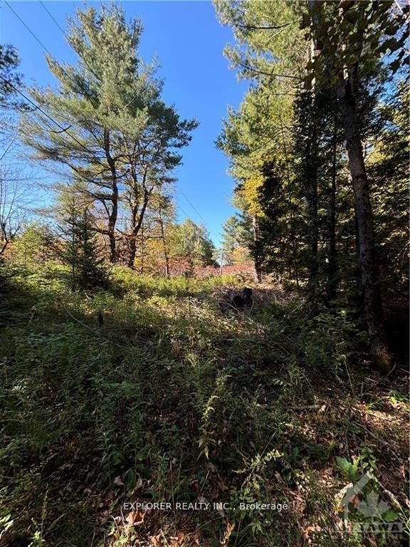 1077 Muller Point Lane Property Photo 21