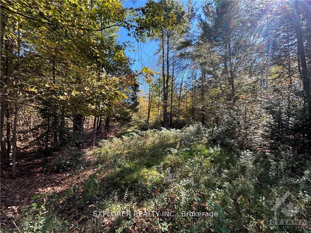 1077 Muller Point Lane Property Photo 22