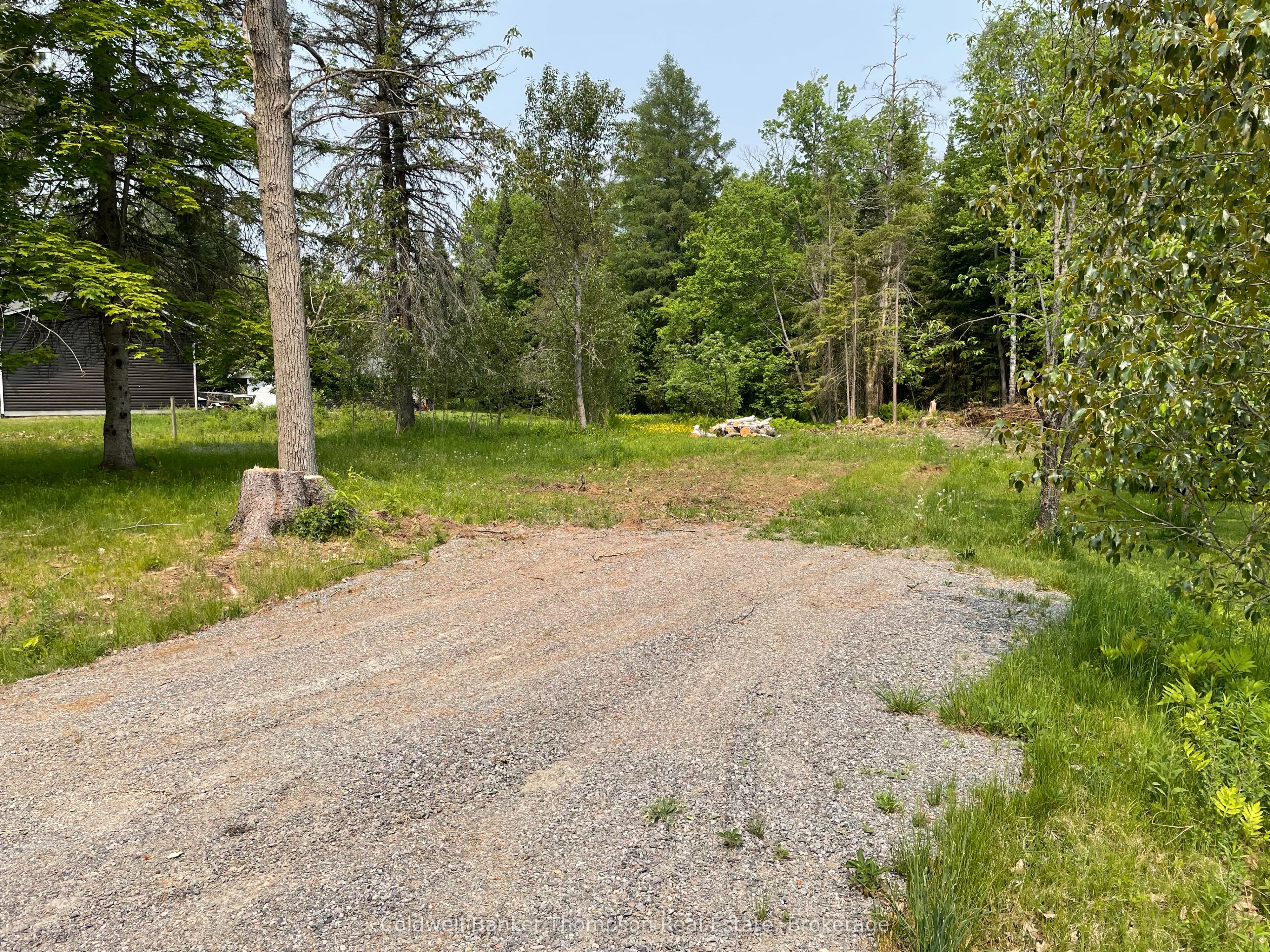 19 Belmont Street Property Photo 1