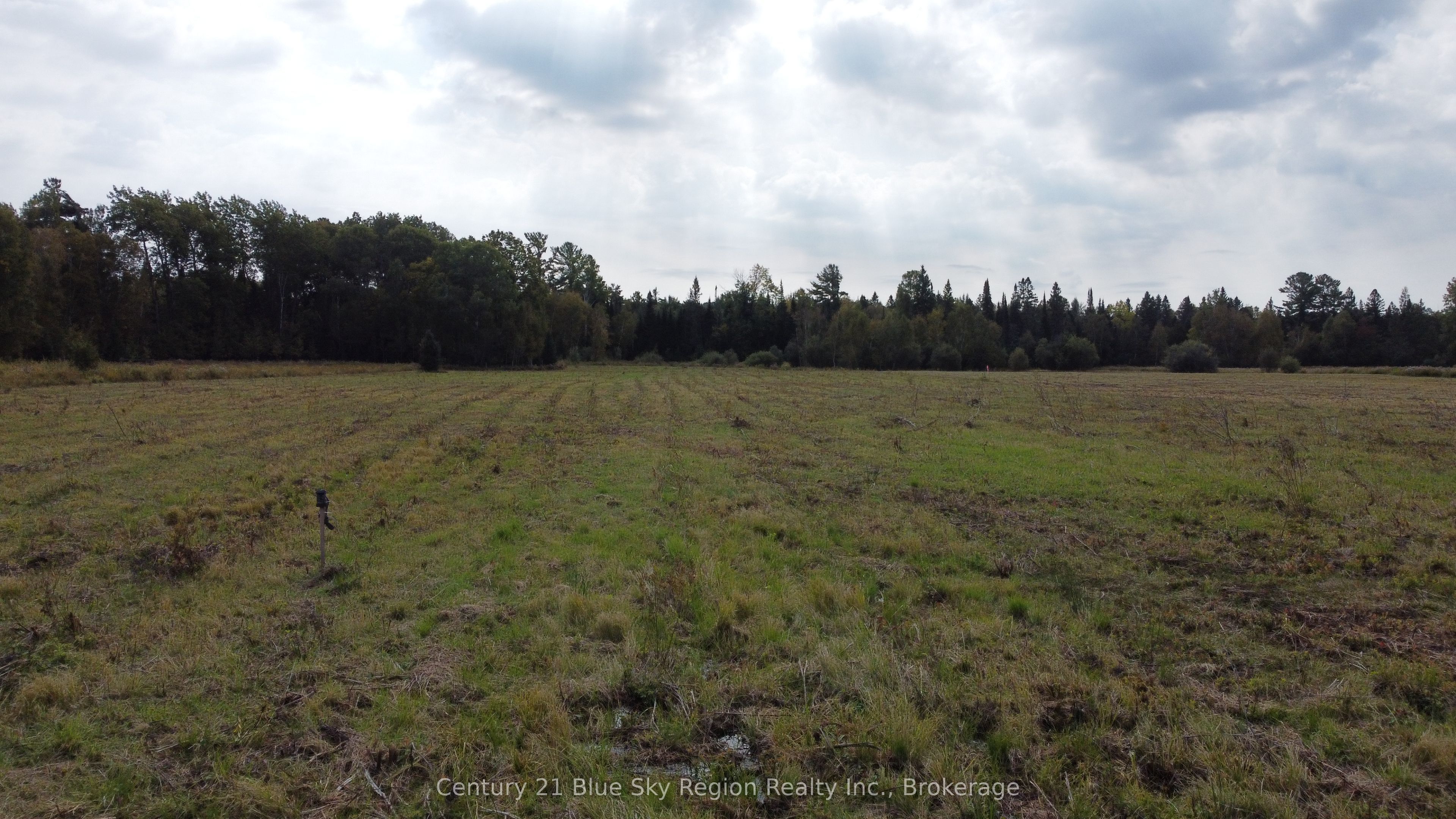 4197 Highway 654 Property Photo 6