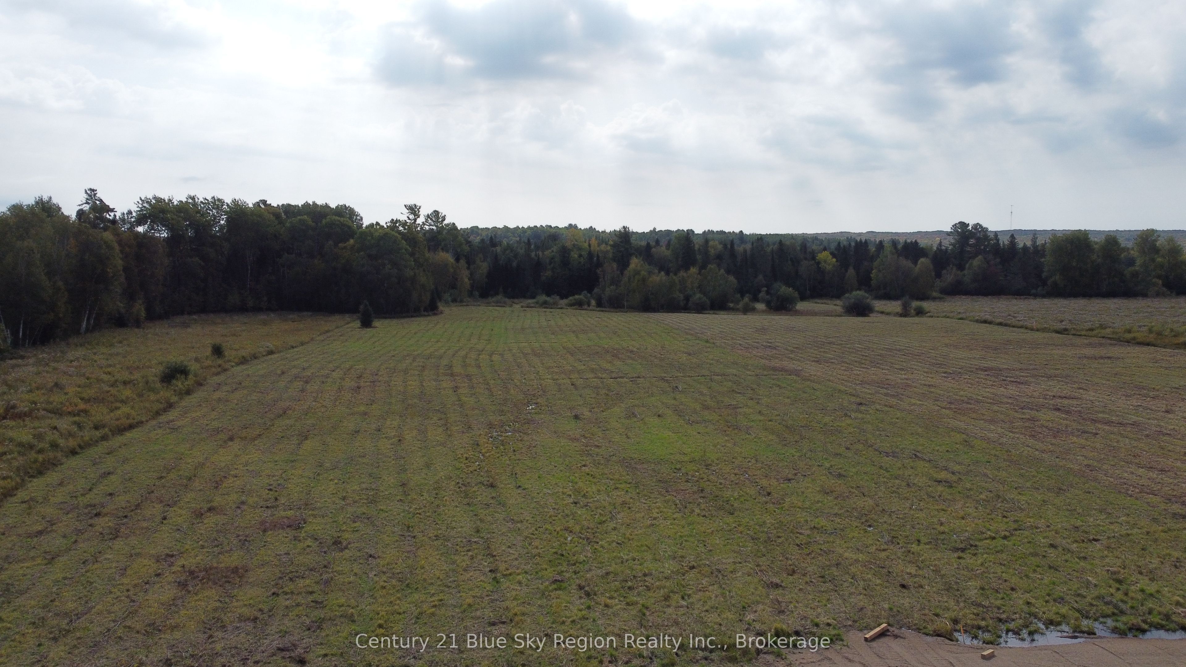4197 Highway 654 Property Photo 9
