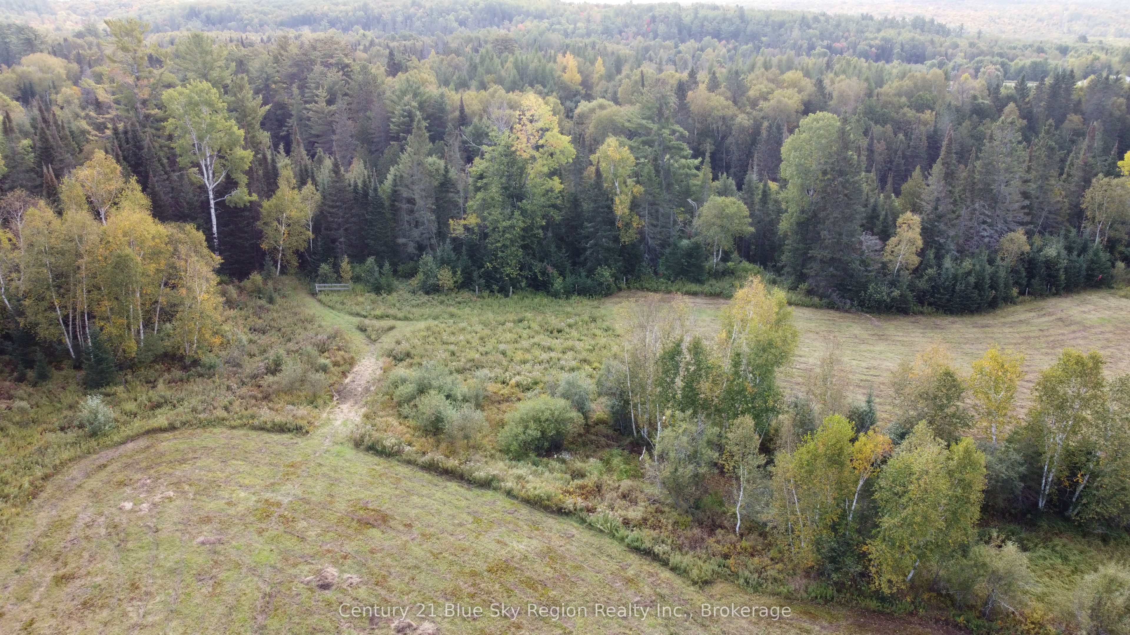4197 Highway 654 Property Photo 10