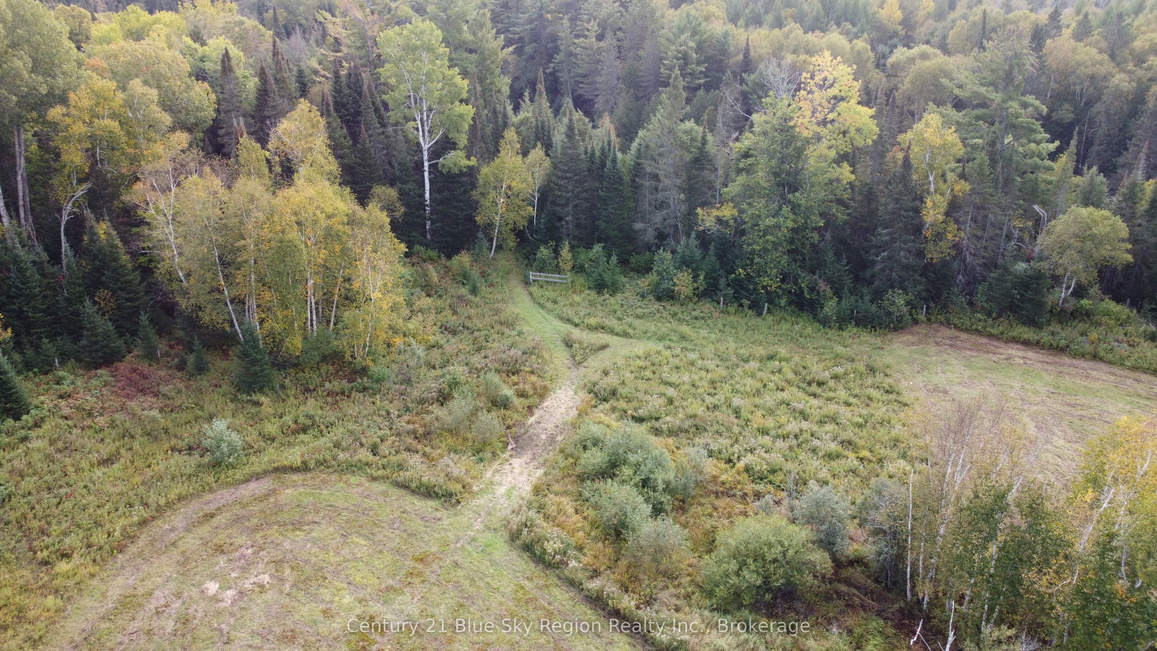 4197 Highway 654 Property Photo 11