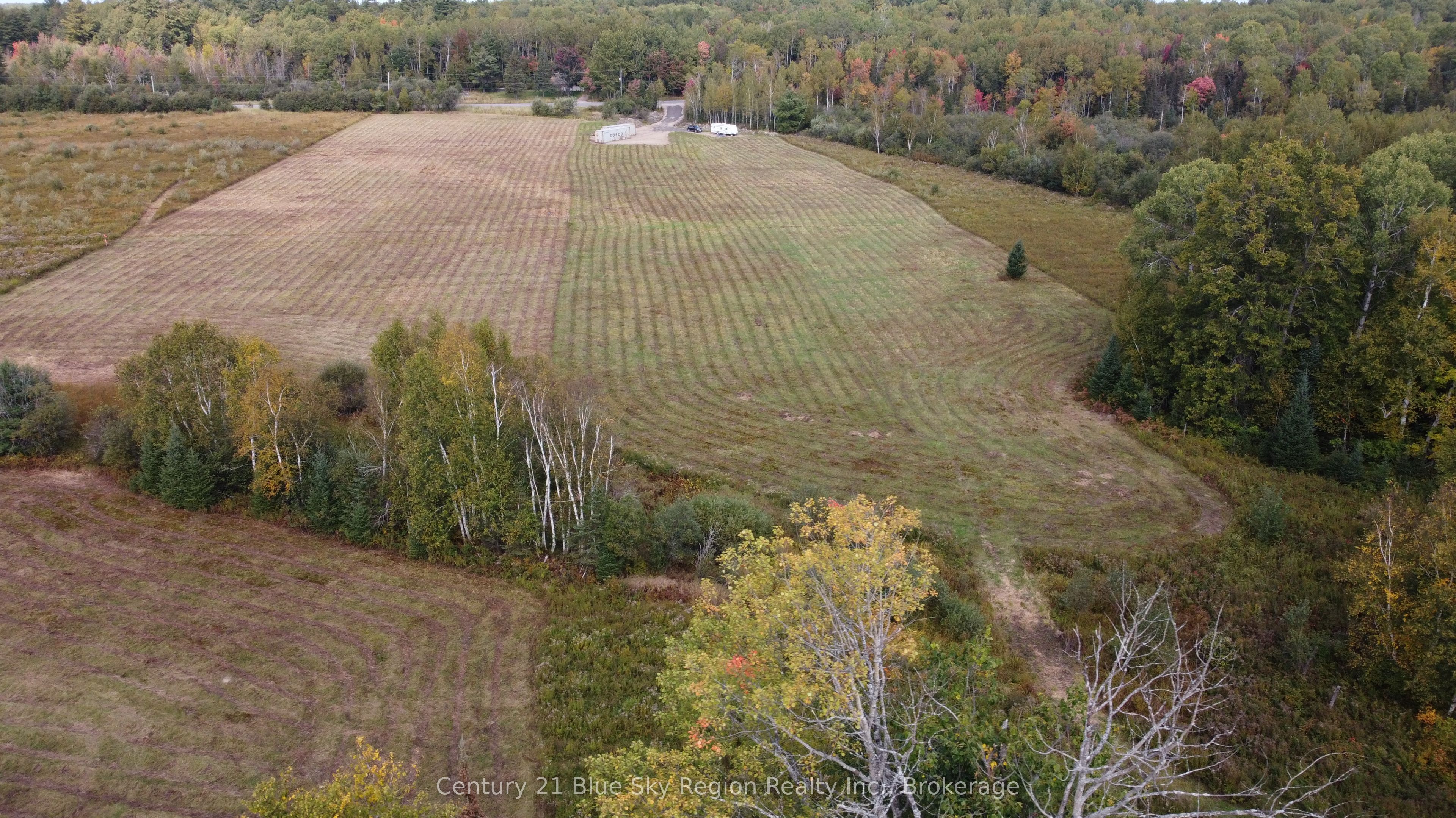 4197 Highway 654 Property Photo 14
