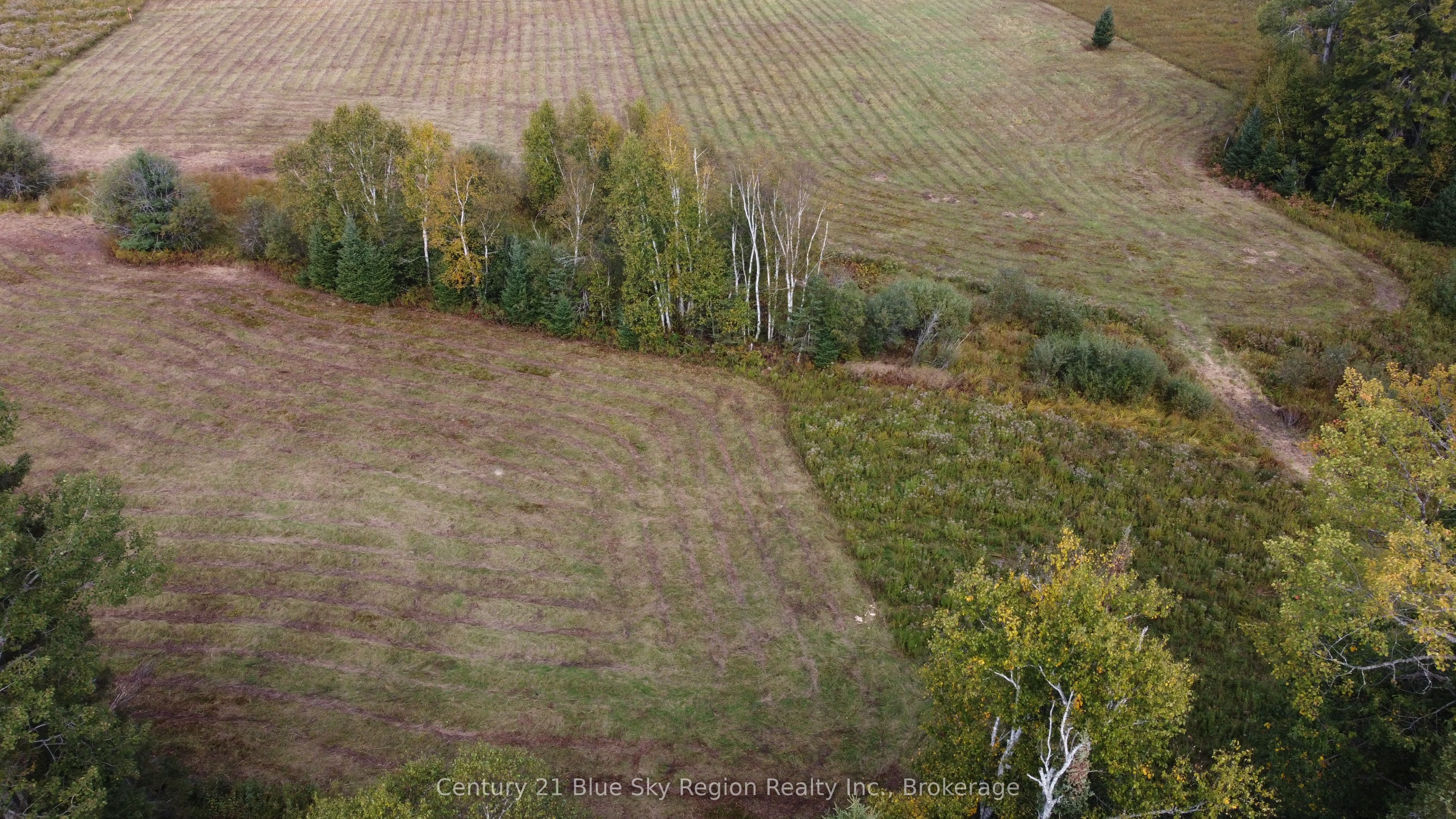4197 Highway 654 Property Photo 15