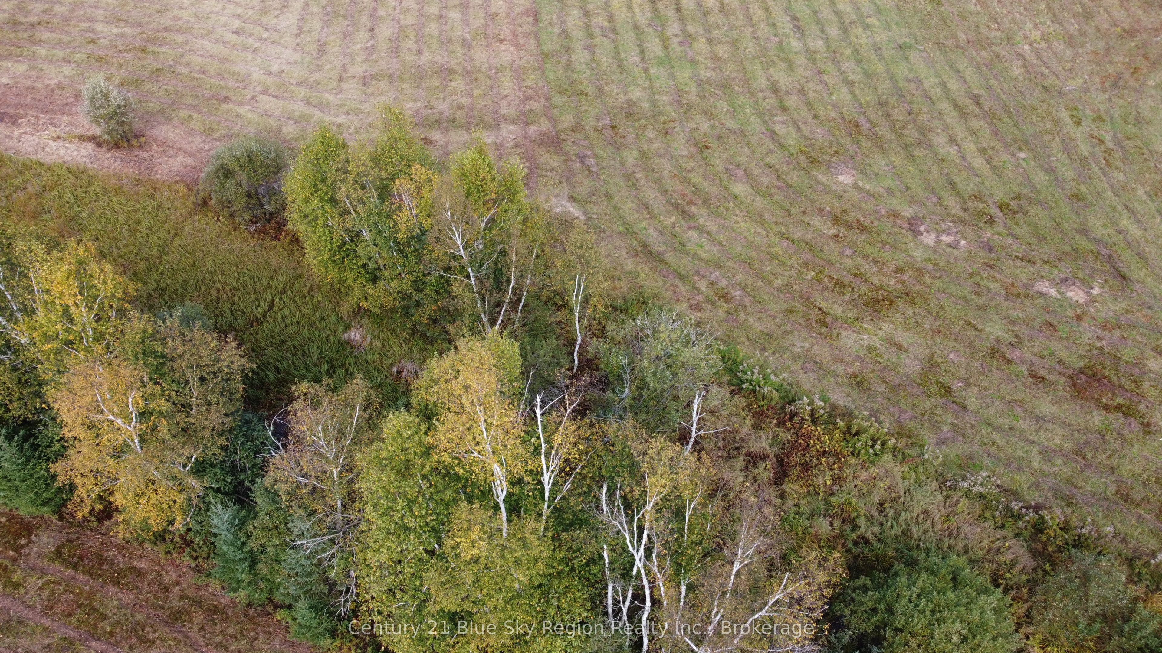 4197 Highway 654 Property Photo 16
