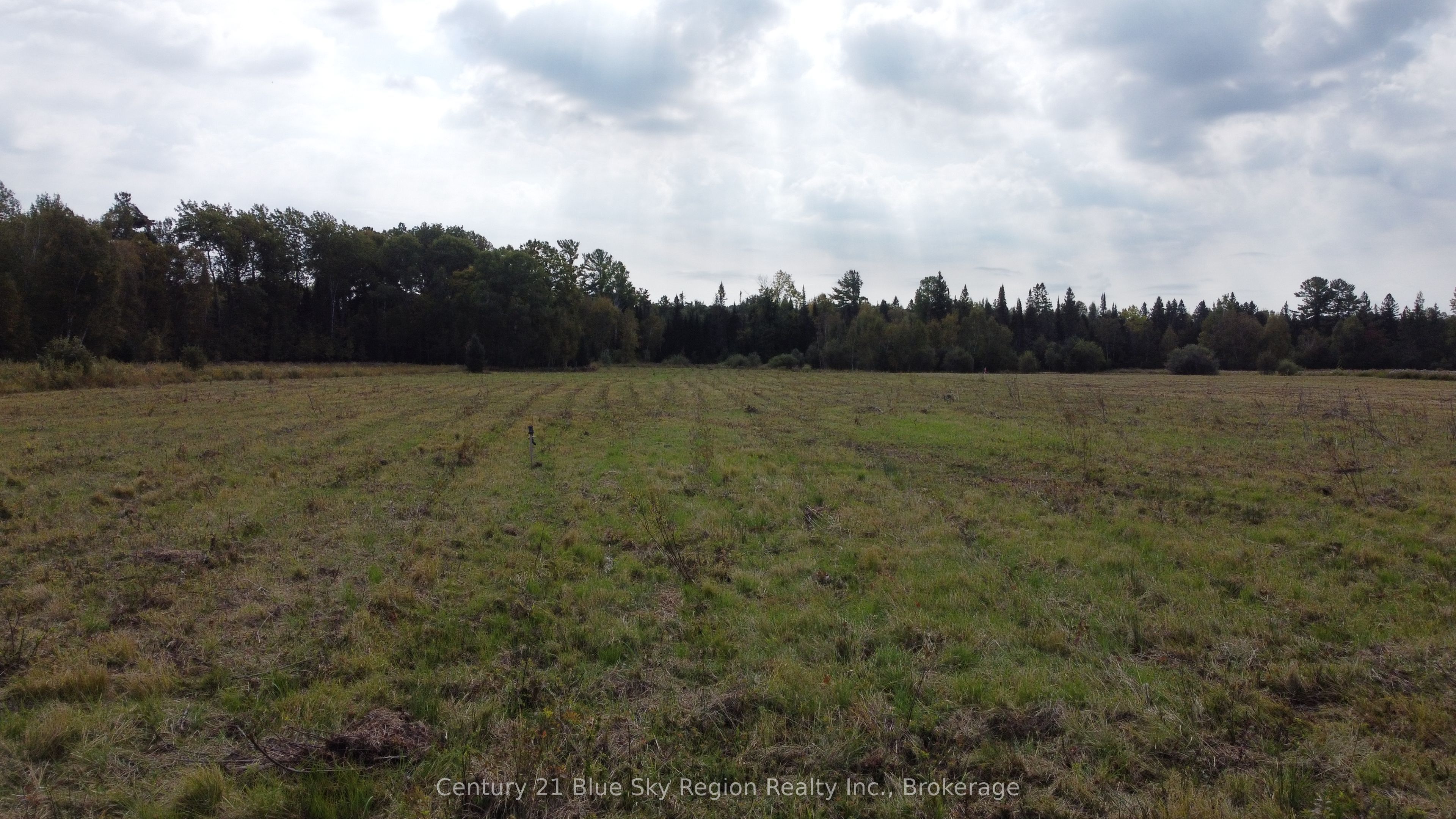 4197 Highway 654 Property Photo 18