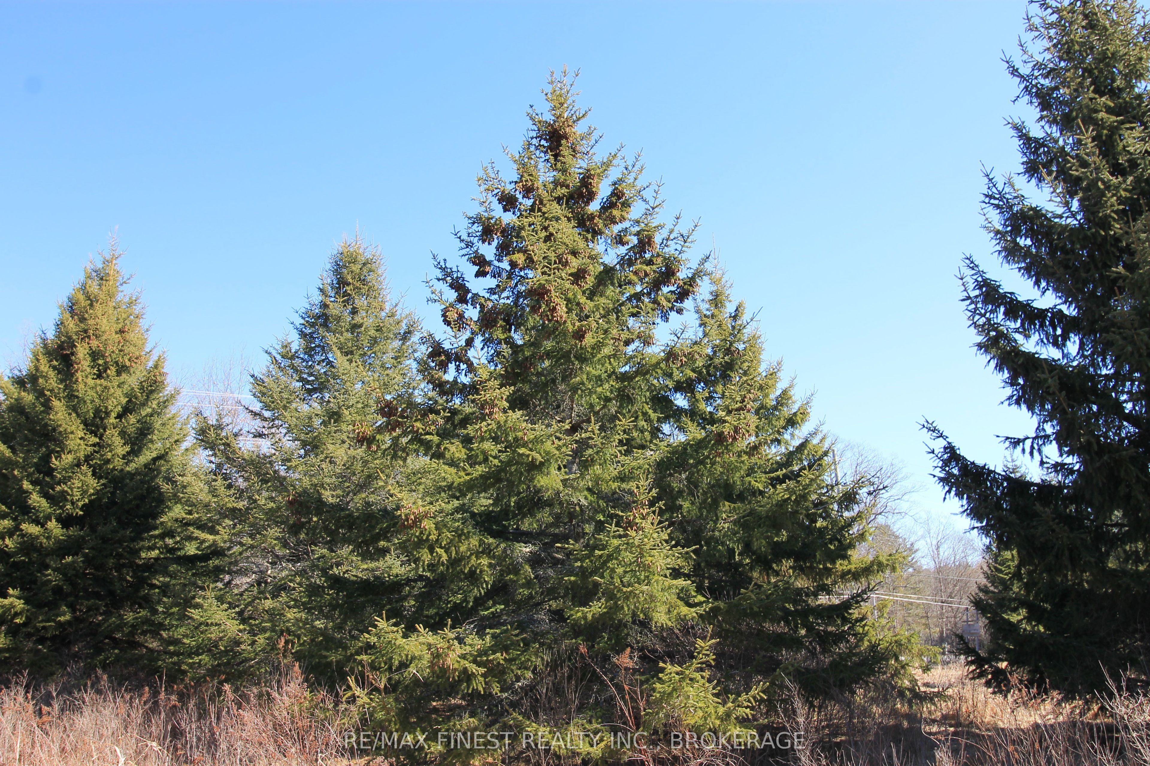 Lot 7 B Highway 2 Property Photo 14