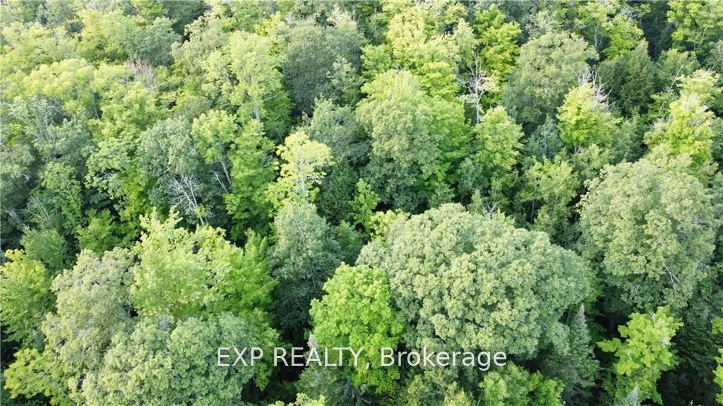 Lot A Chippawa Road Property Photo 1