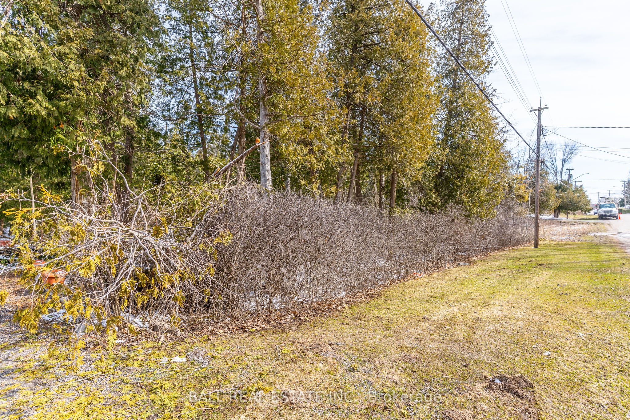 215 Front Street W Property Photo 8