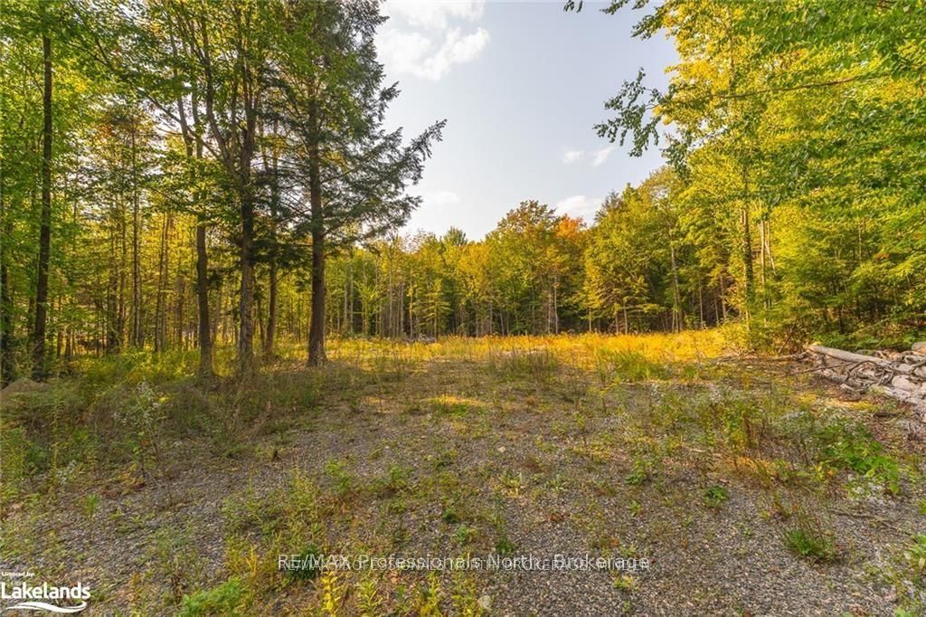 1205 Little Hawk Lake Road Property Photo 5