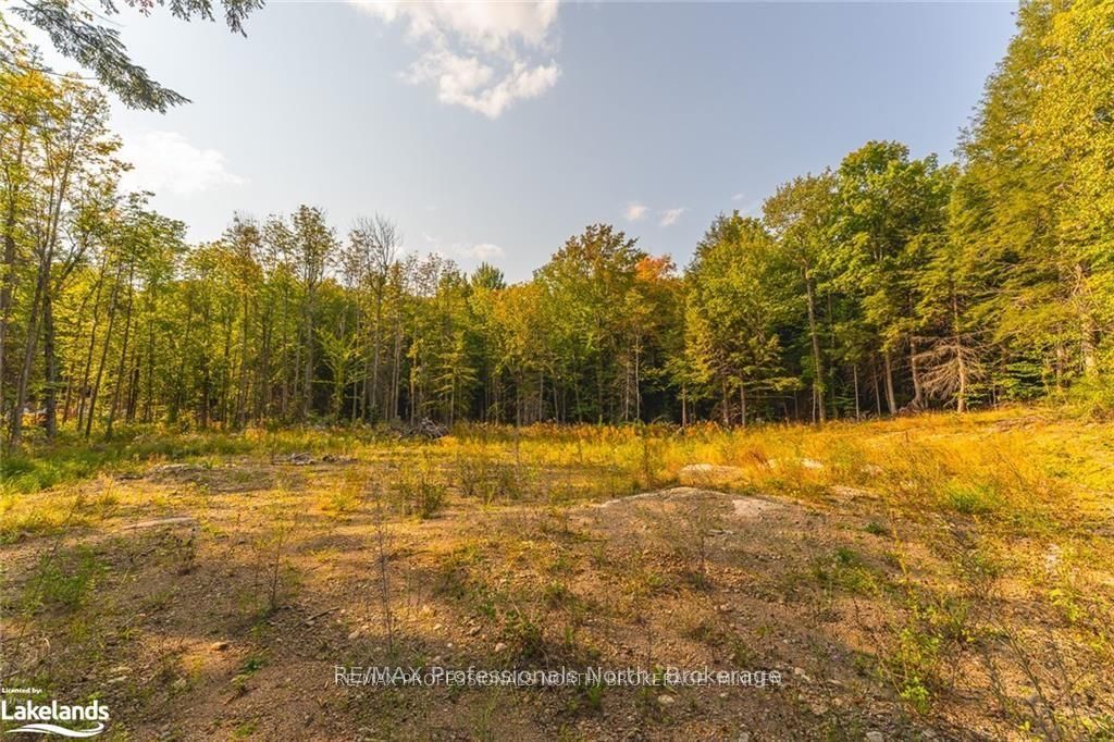 1205 Little Hawk Lake Road Property Photo 11