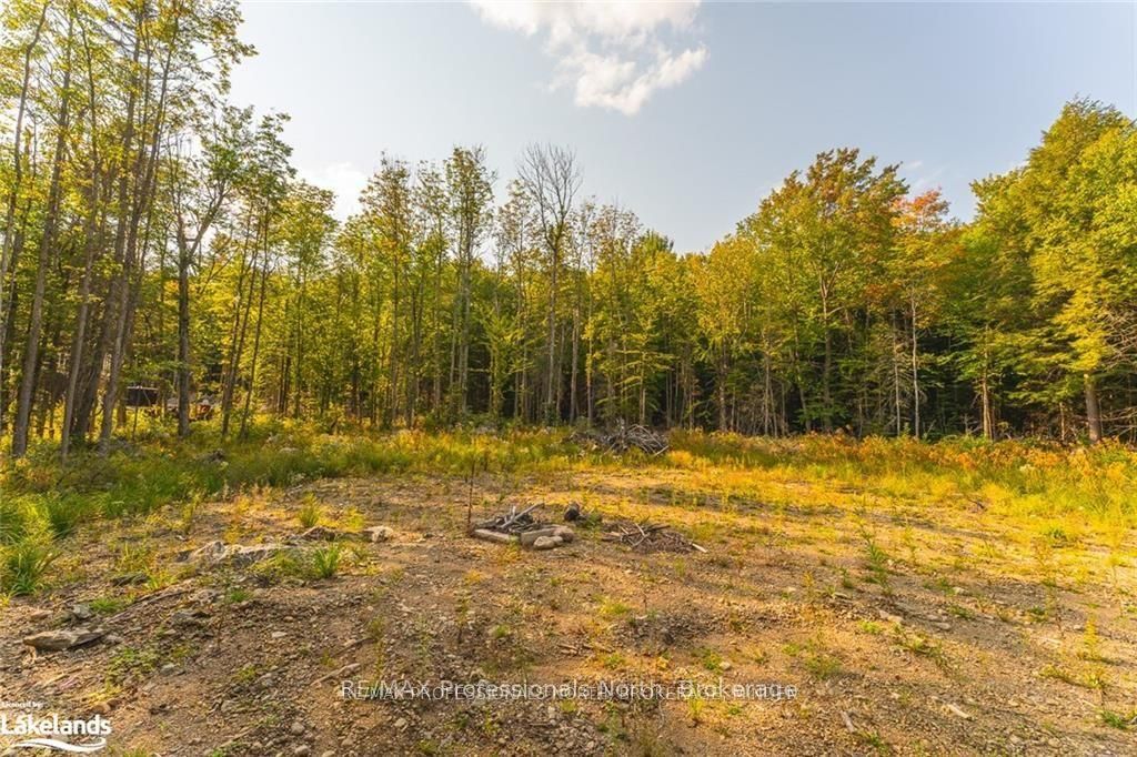 1205 Little Hawk Lake Road Property Photo 12