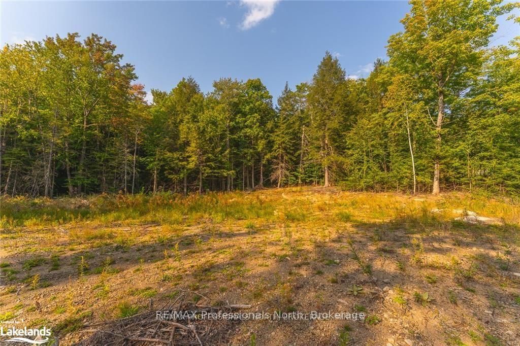 1205 Little Hawk Lake Road Property Photo 13